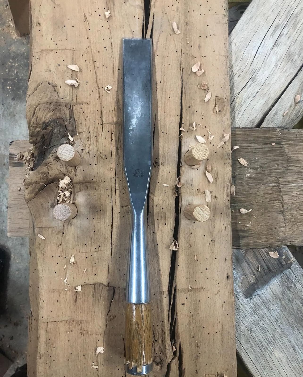 A chisel resting on a wooden workbench with wood shavings and small round wooden pieces scattered around.