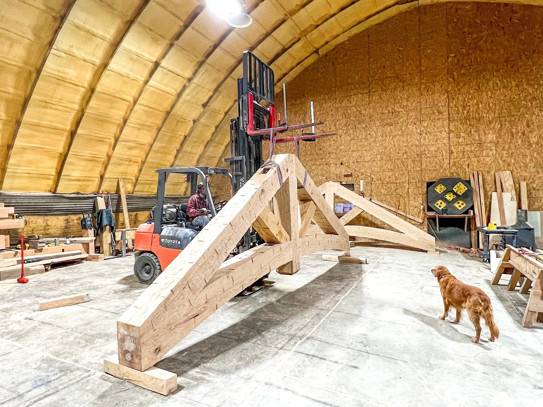 A woodworking workshop inside an arched, wooden structure. A person operating a forklift, a dog standing on the concrete floor, and various wooden beams and tools scattered around.