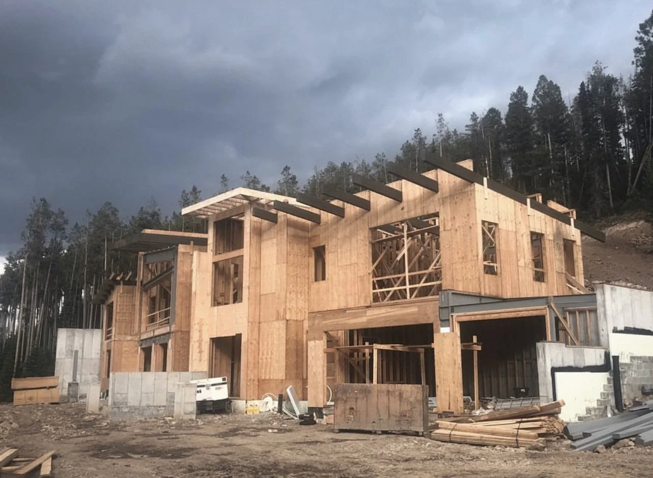 Under construction wooden house framed with plywood walls and roof supports, with a background of trees and cloudy sky.