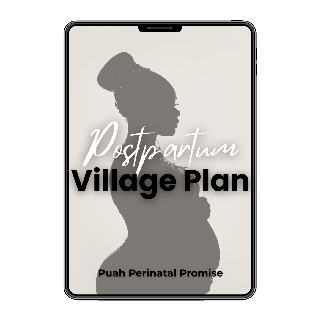 Postpartum Village Plan