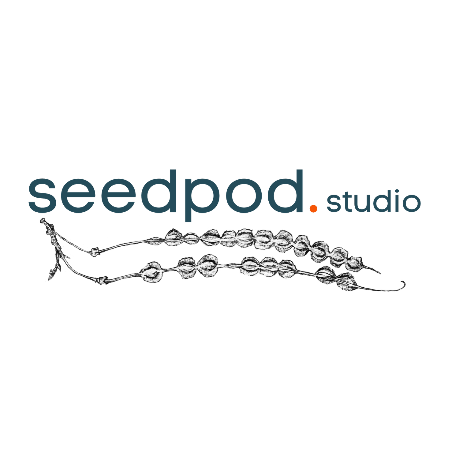 Michelle Morland | Seedpod.Studio