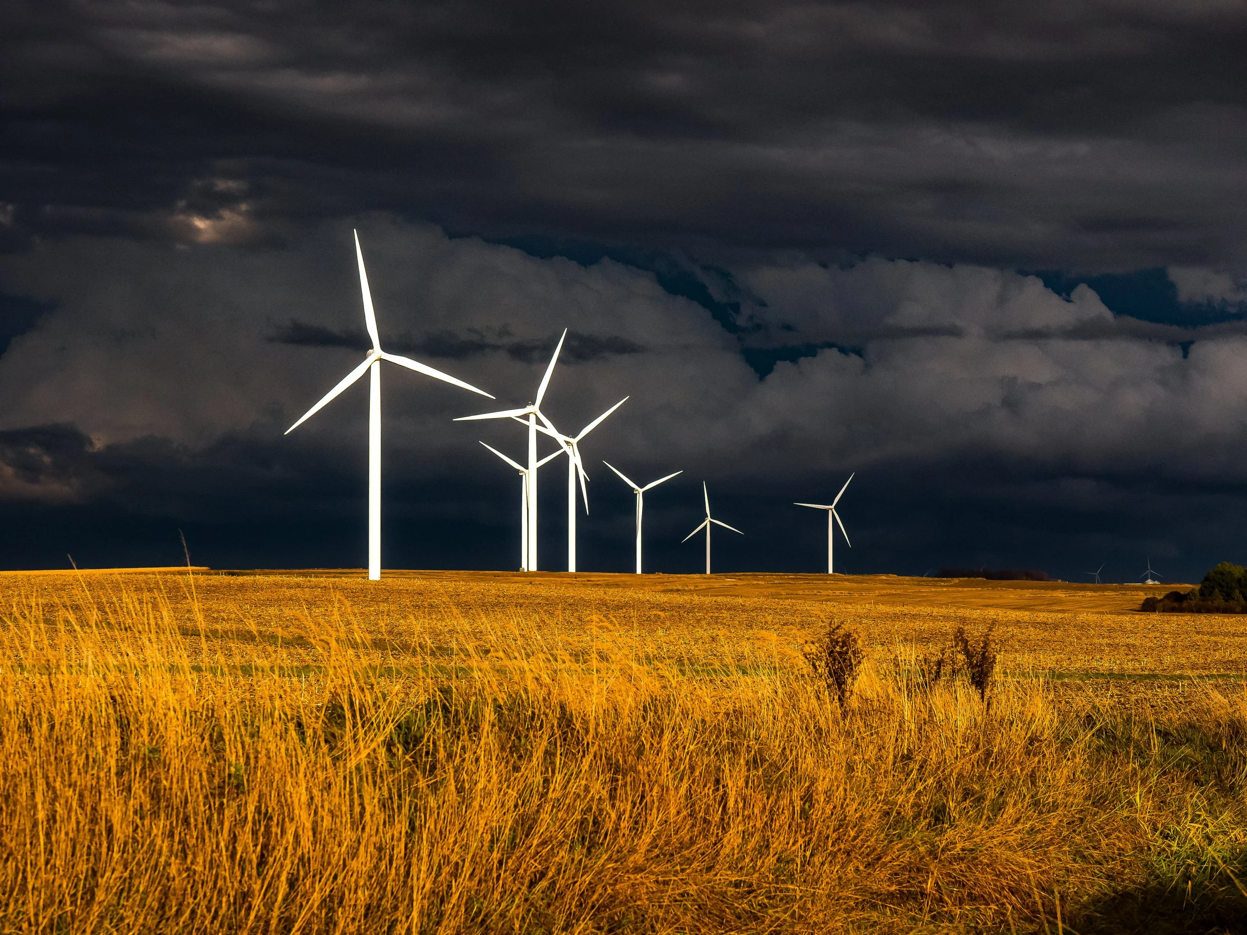 New Camera? Now What?