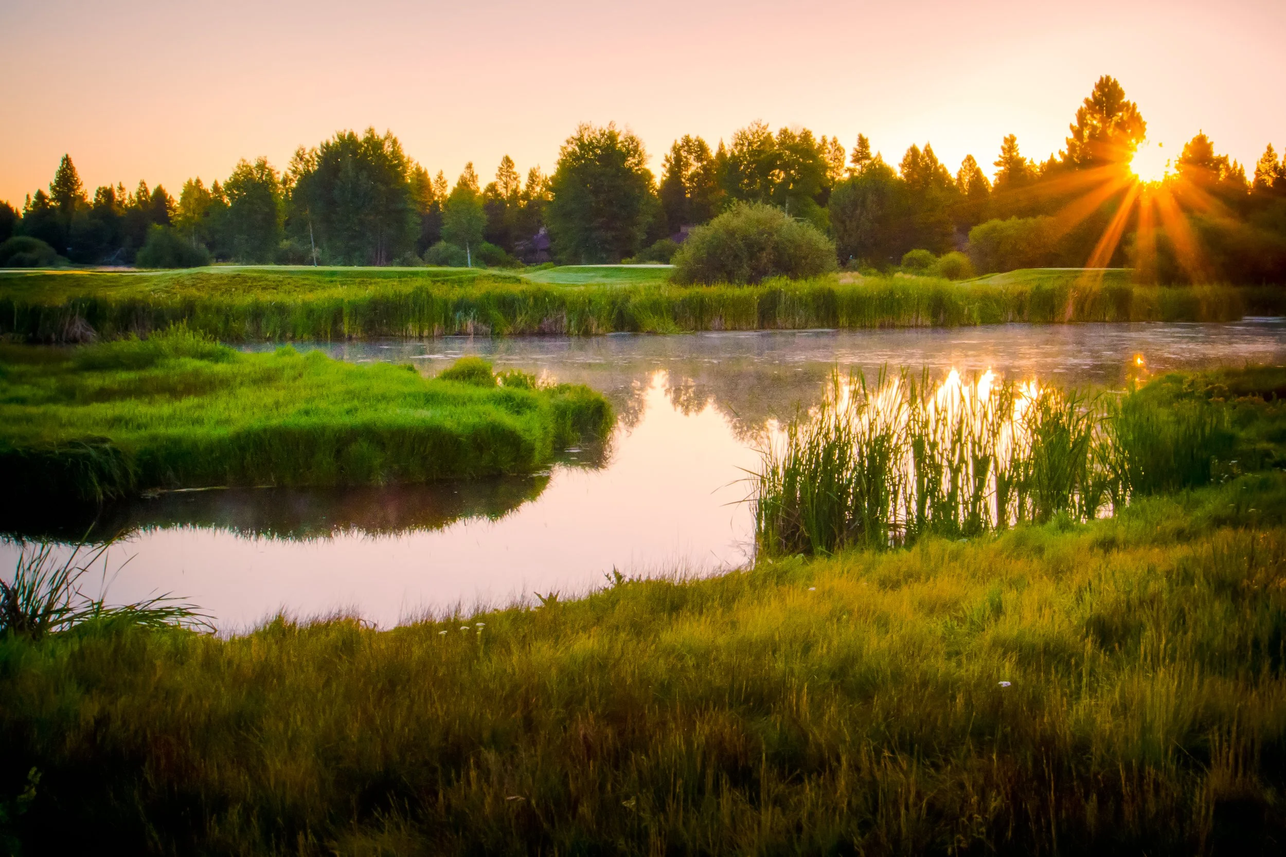 How Photography Saved My Life