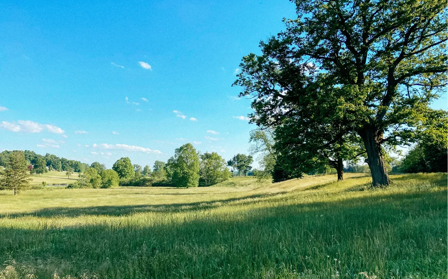 Heartstone Home Hero.webp