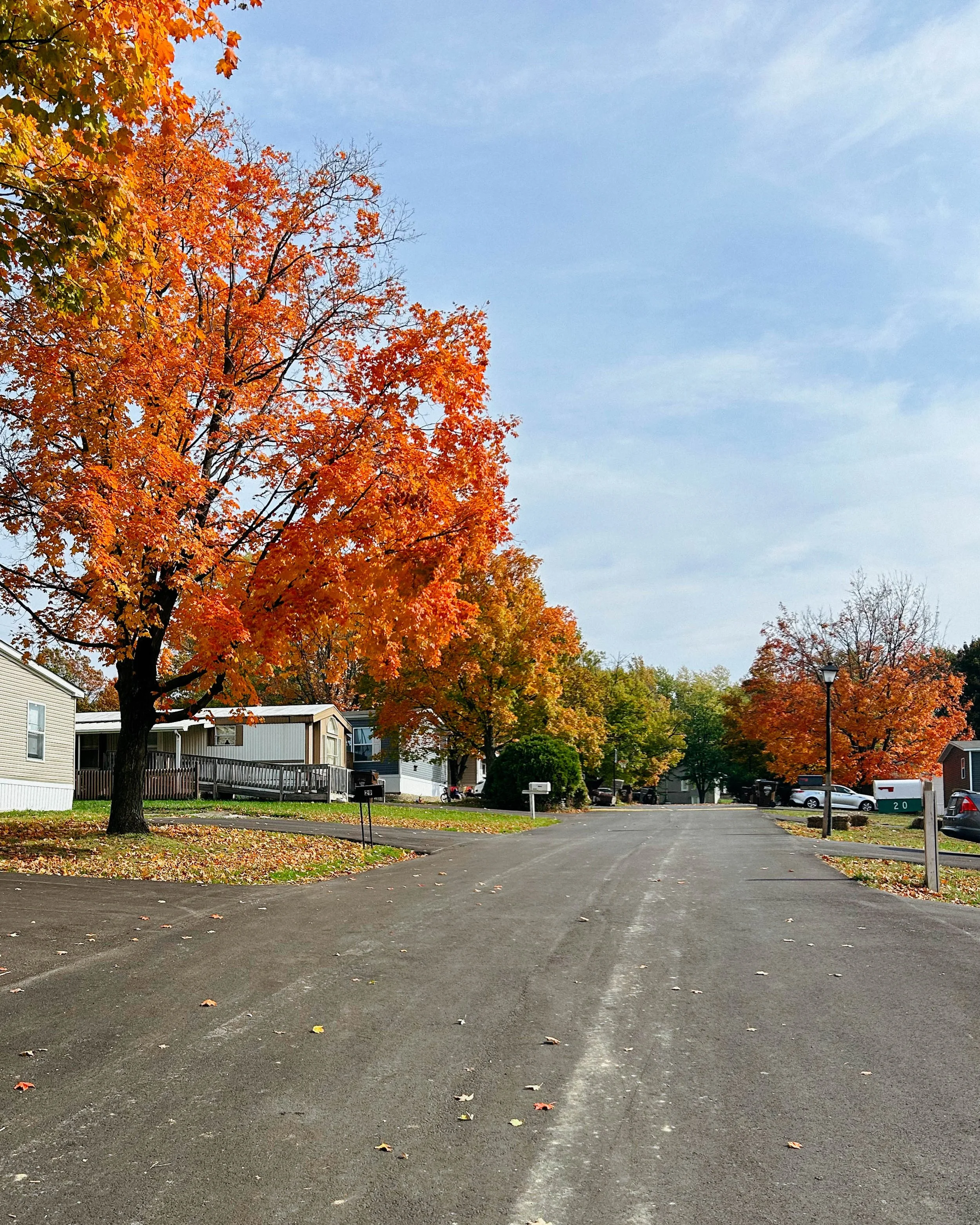 Quiet residential street inside Colonial Hills community, Mansfield, Ohio, with well-kept homes and open green space