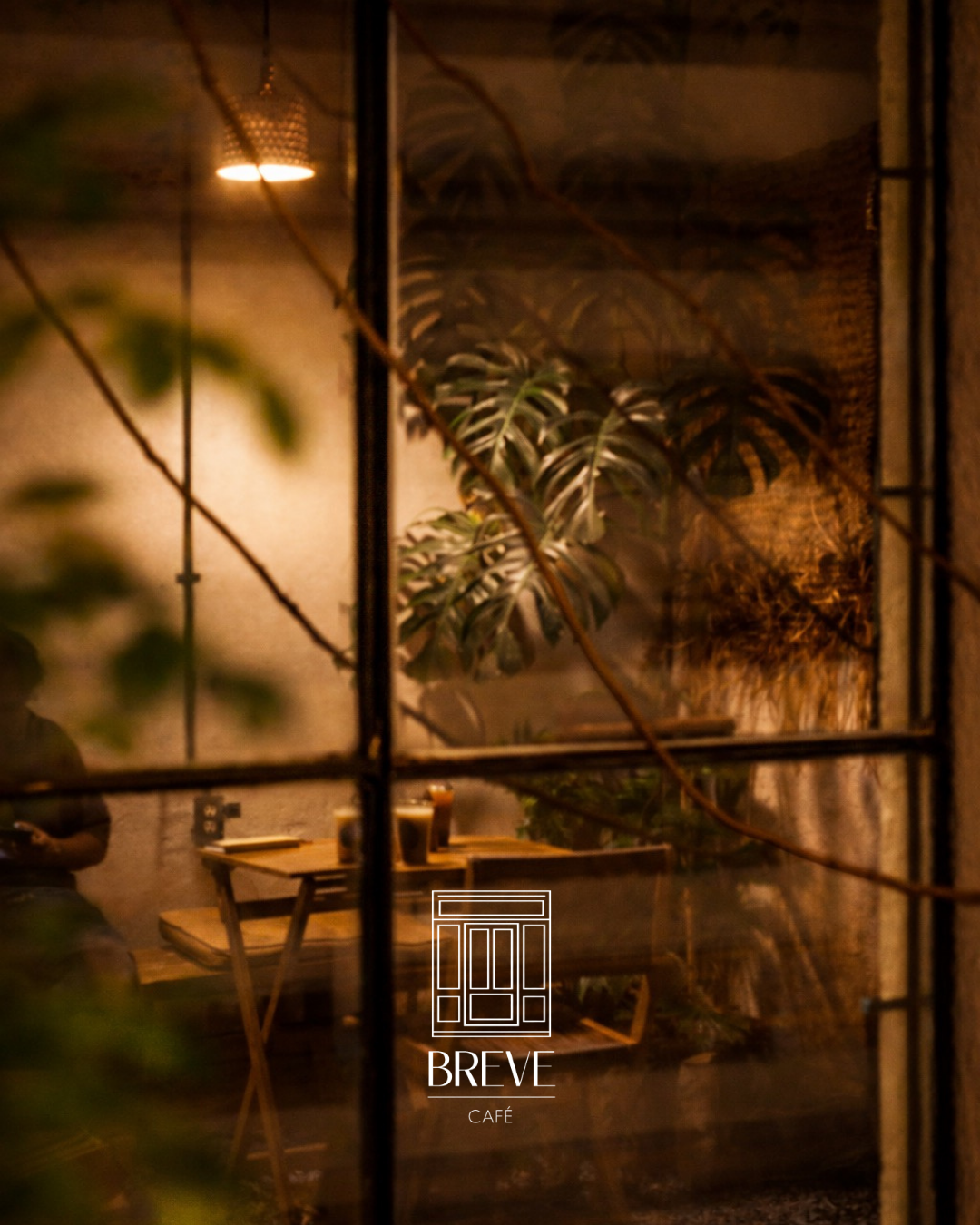Una vista de una cafetería llamada 'Breve Café', vista a través de un ventanal con un marco de metal negro. Hay plantas verdes en el interior y una mesa de madera con madera en la parte visible, con varias tazas y vasos, y una pared con decoración de