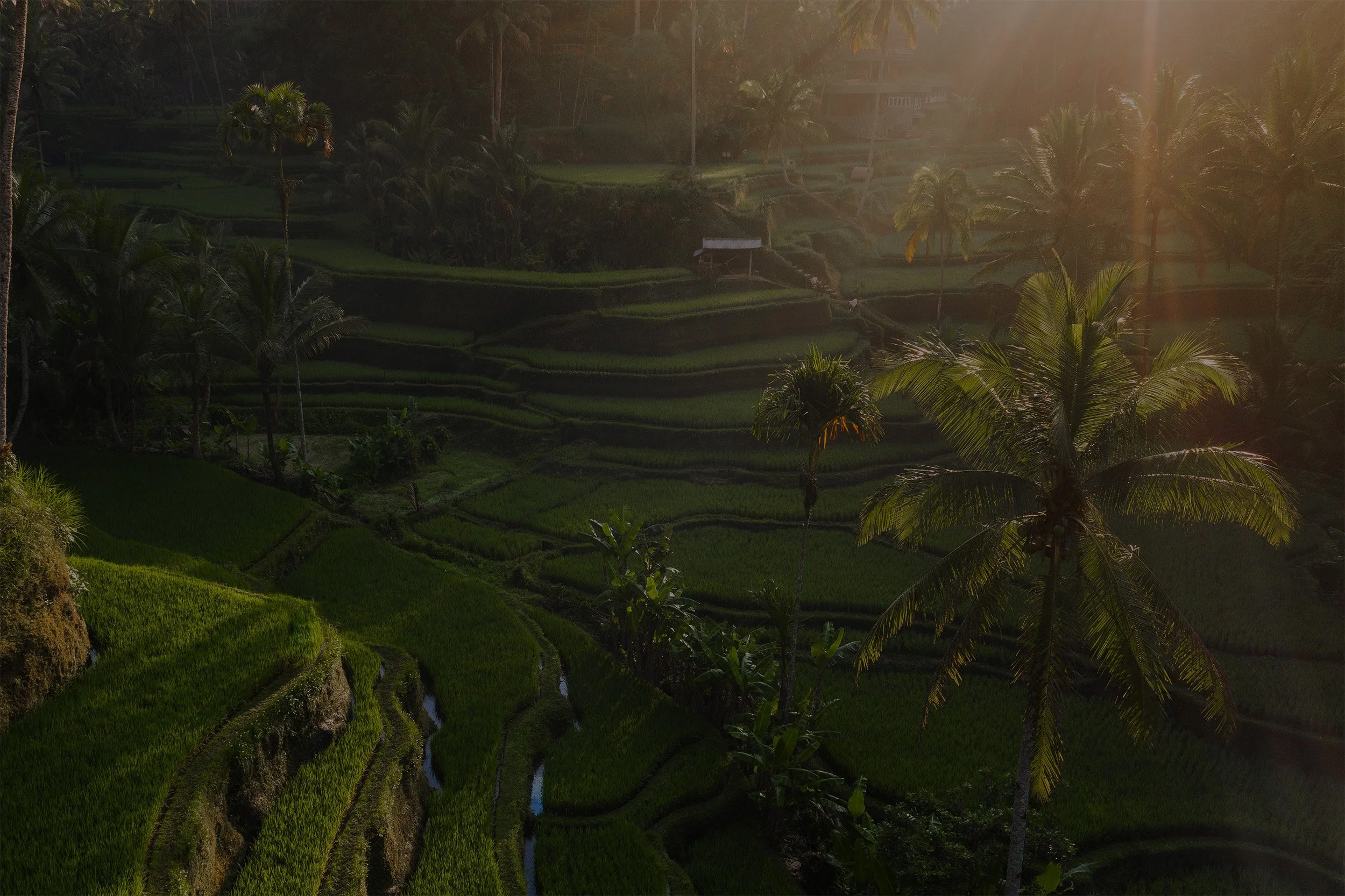 bali-retreat-4.jpg