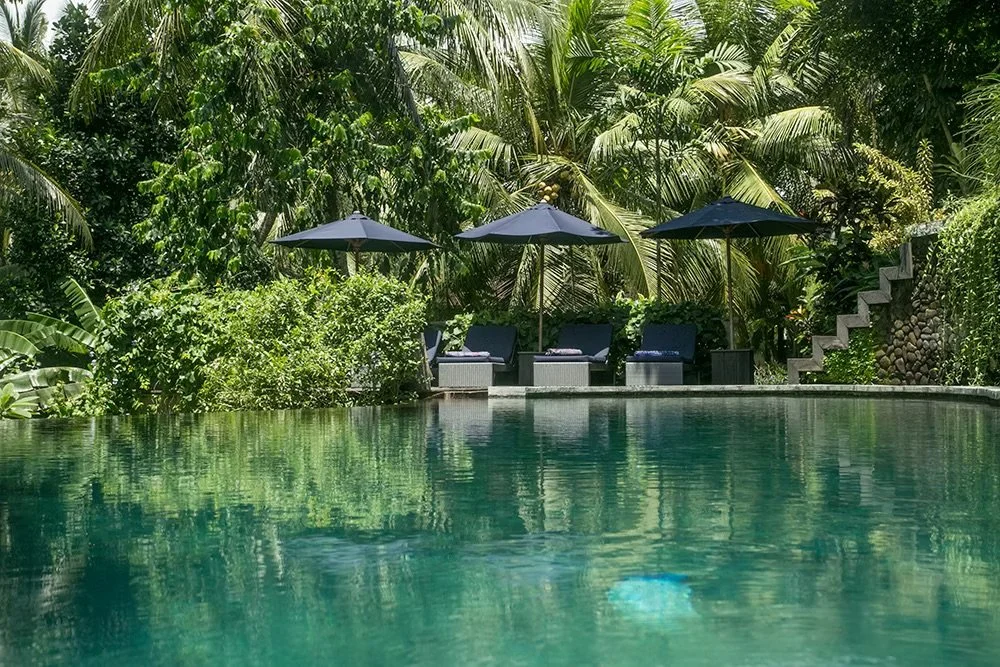 oasis-garden-room-3.jpeg