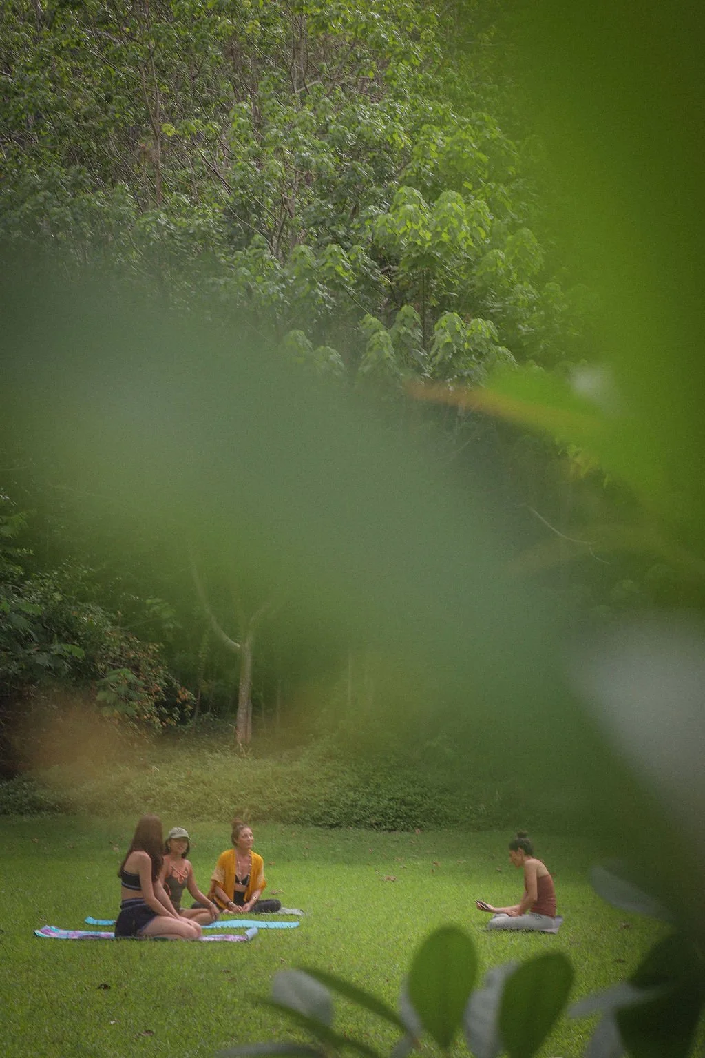 hawaii-private-tours-six-degree-soul-oahu-1.jpeg