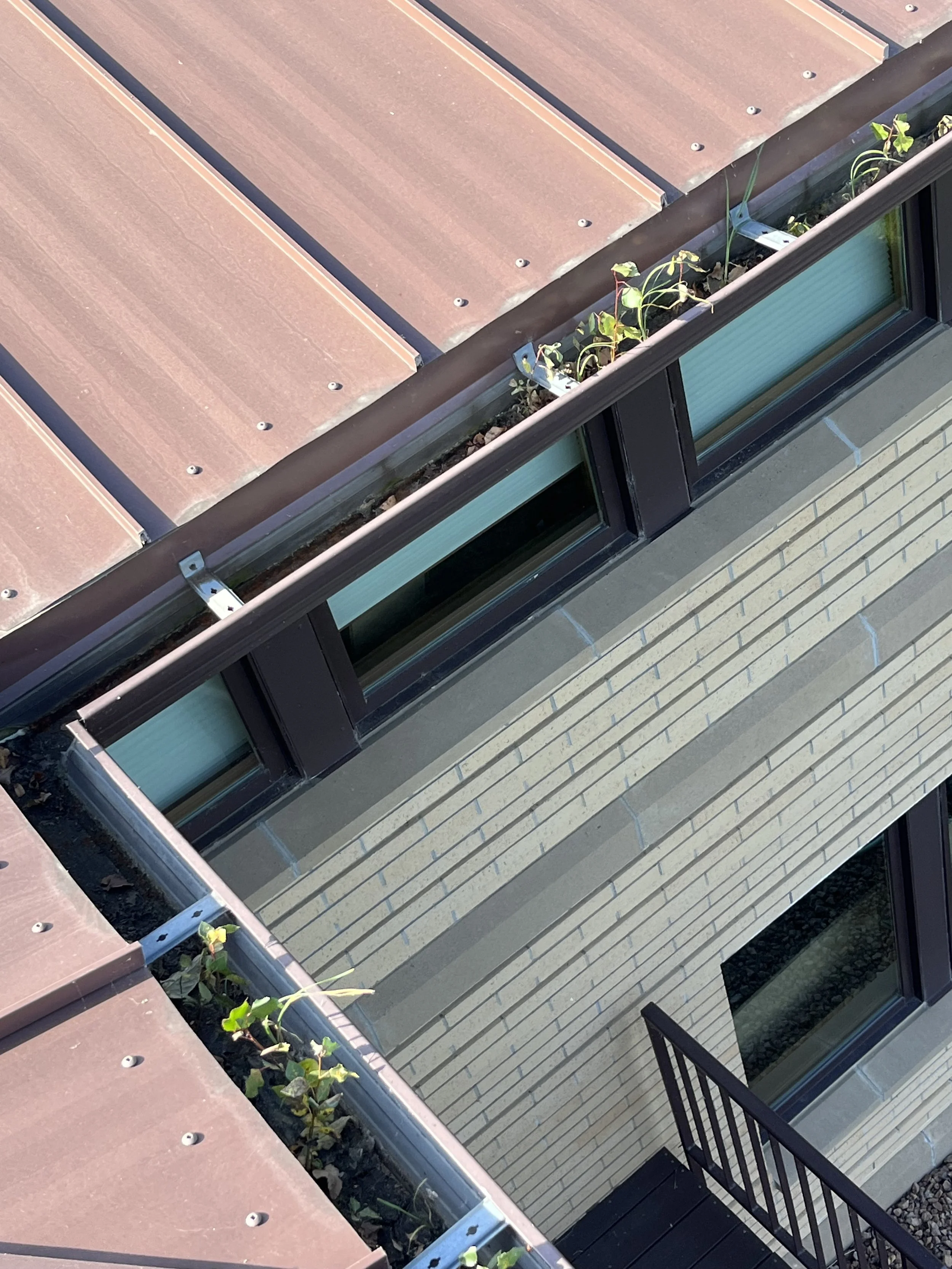 View of a building's rooftop with plants growing in a narrow planter, large windows, and brick exterior walls.