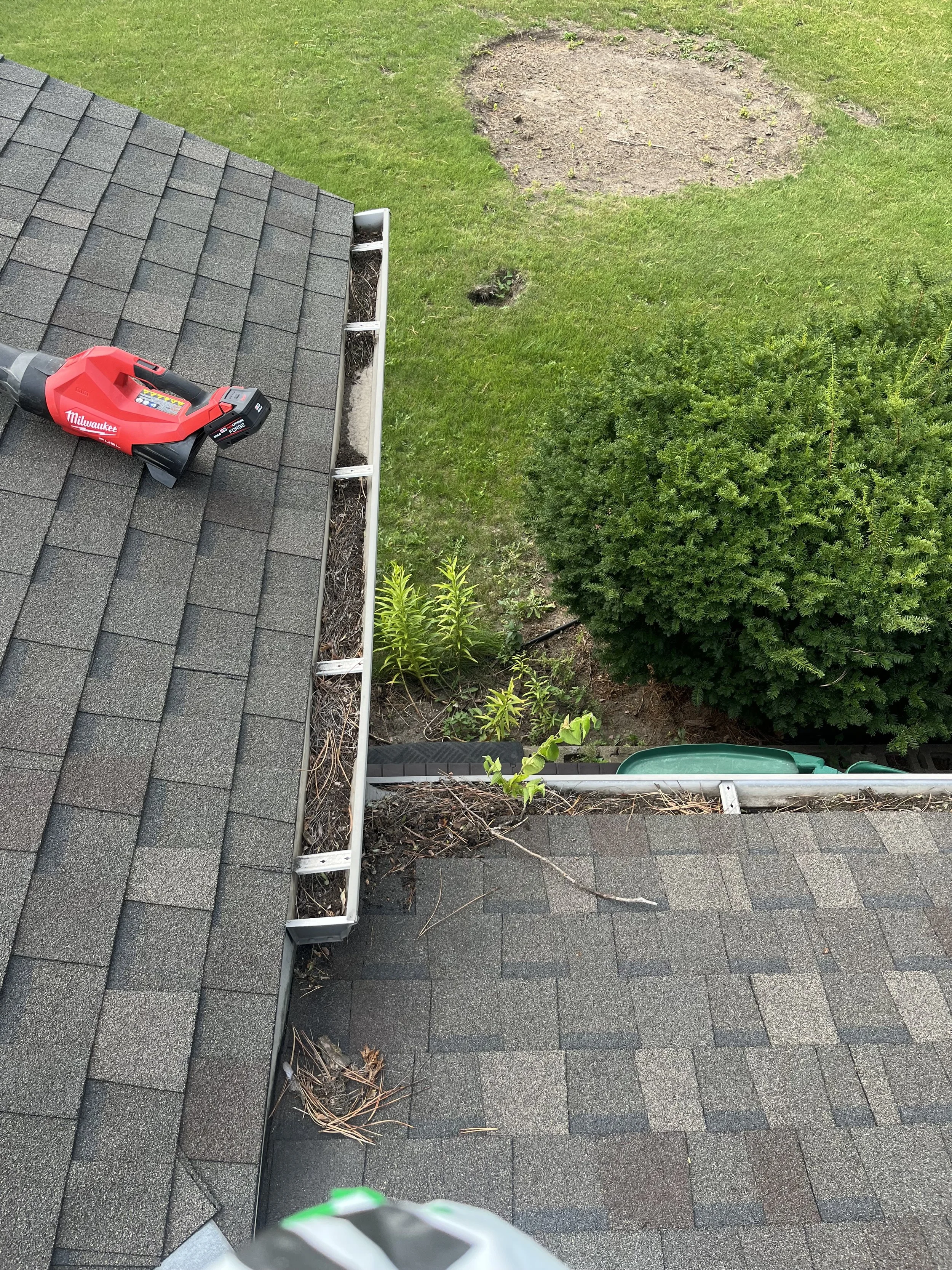 View of a house roof with shingles, a cordless leaf blower resting on the roof, a part of the gutter filled with debris, a garden area with green plants, a bush, and grass, with a dirt patch in the yard.