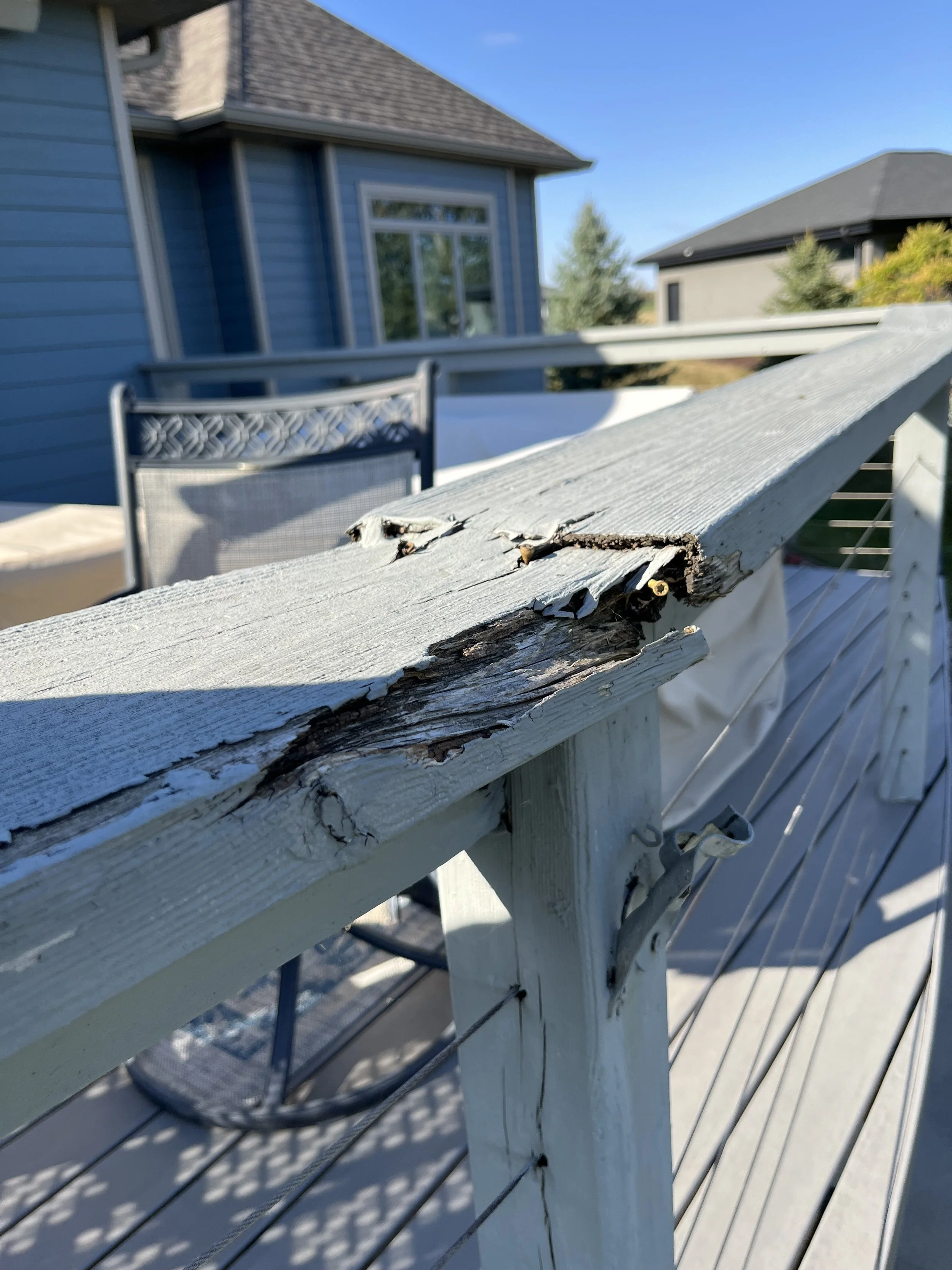 Close-up of a damaged wooden railing on a porch with peeling paint and rotted wood, outdoors with blue sky and neighboring houses in the background.