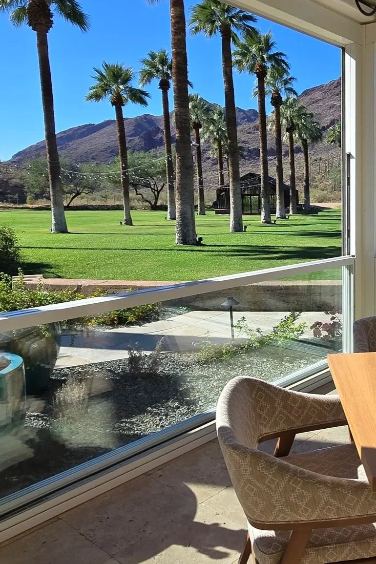 Panoramic view through sliding glass wall with palm trees and mountains in the background.