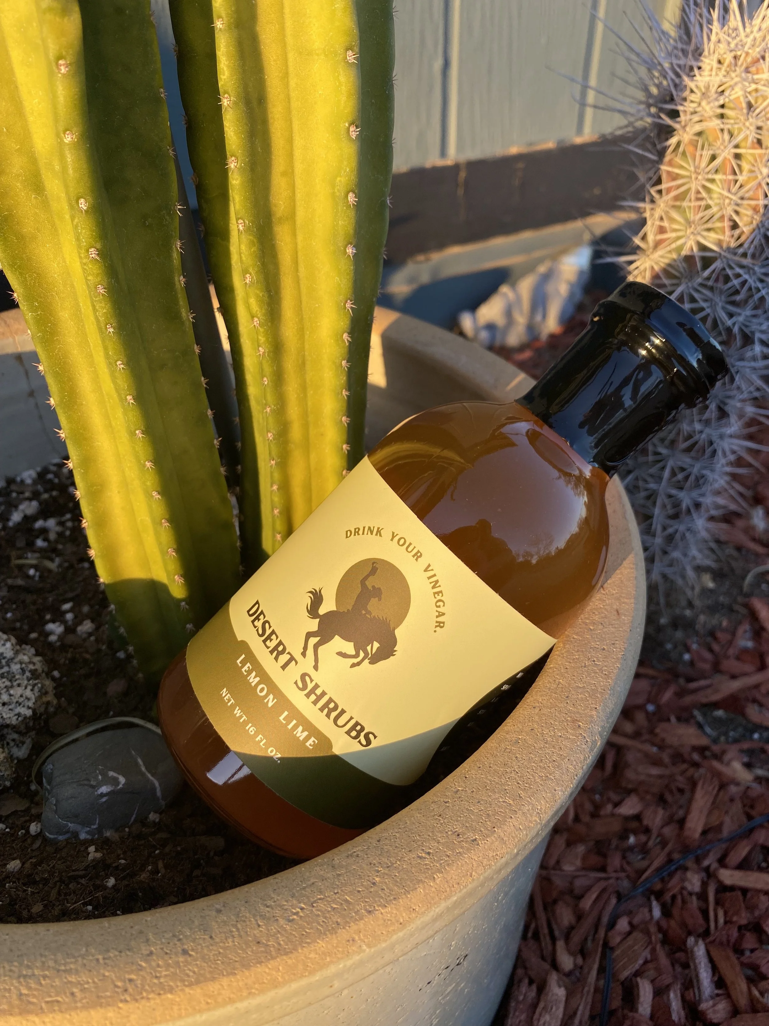 Lemon Lime Shrub