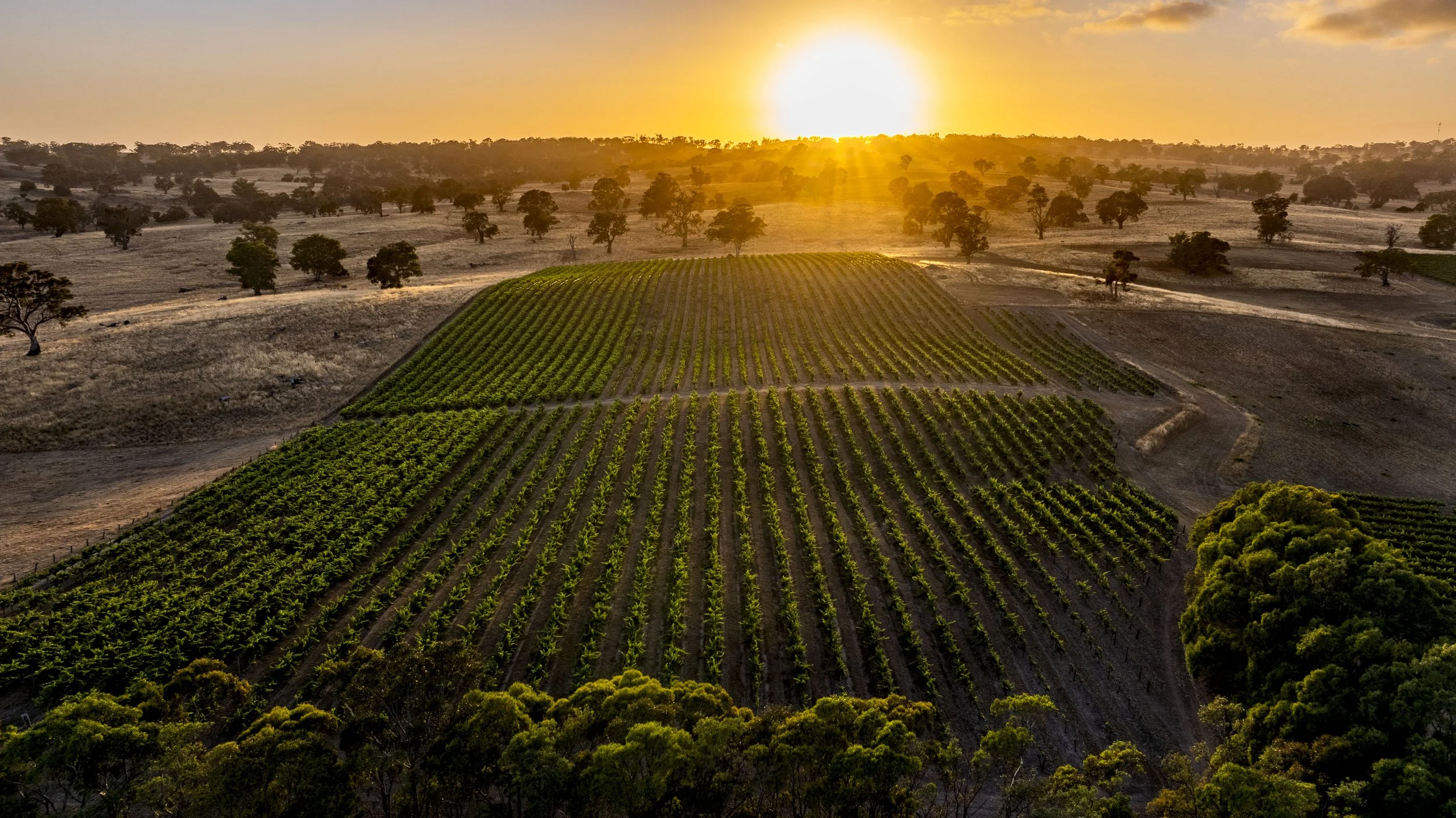 DJI_20241217061351_0258_D-HDR.jpg