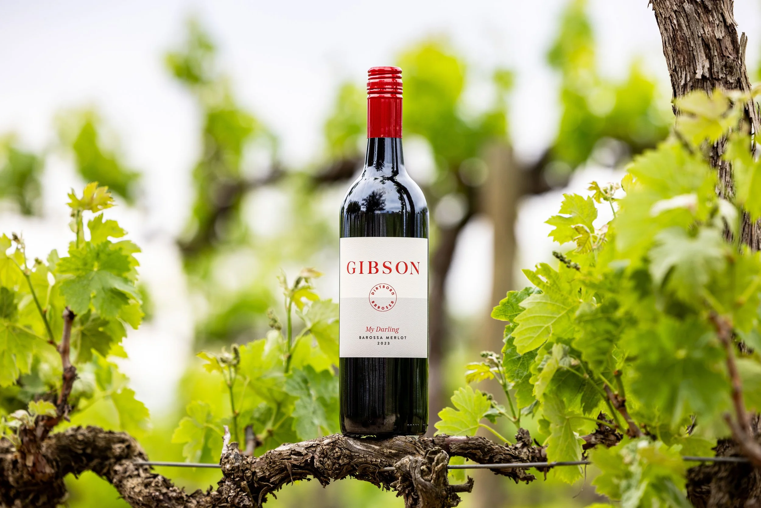 SK Sunday Funday 2025-15.jpg