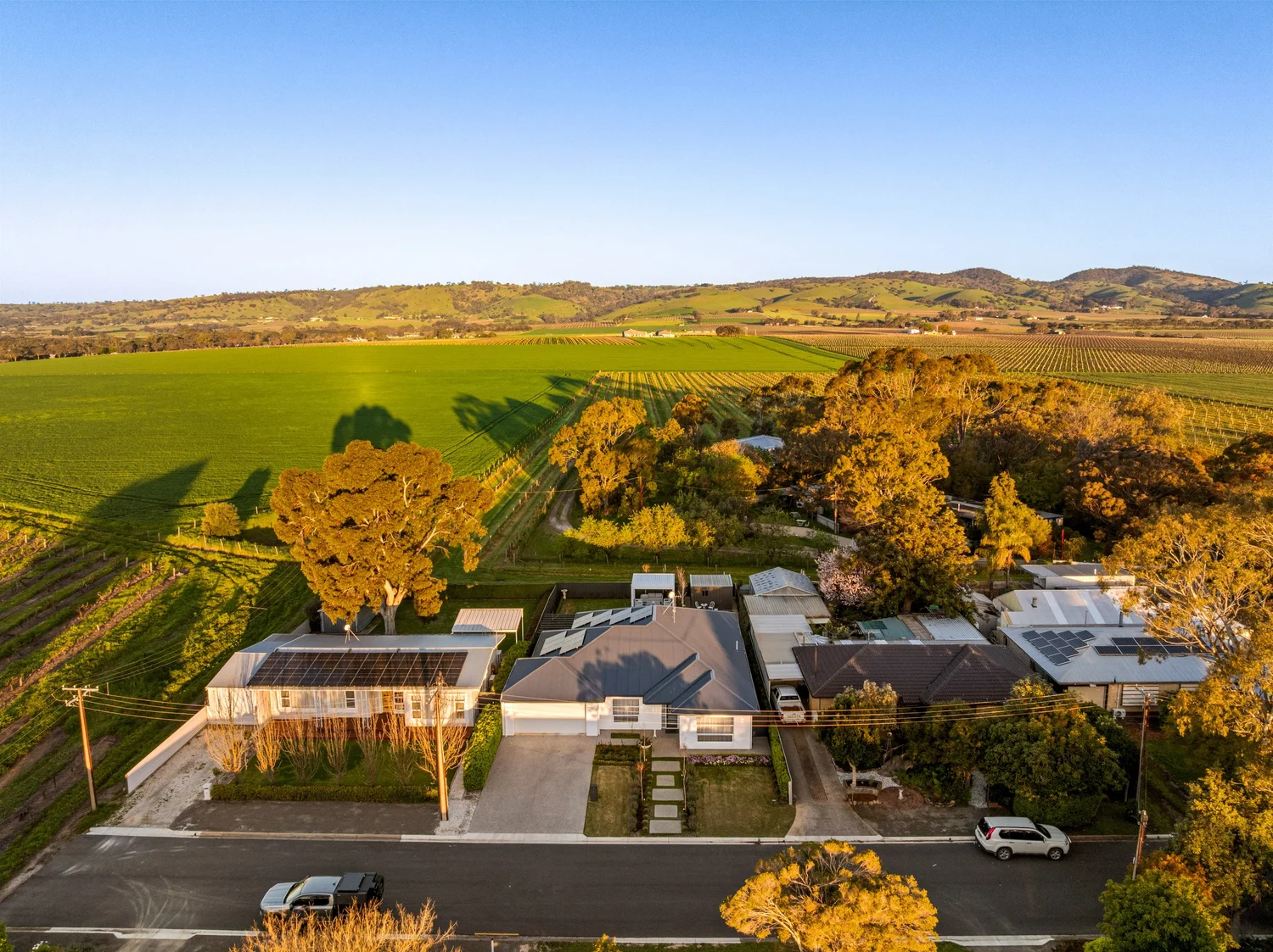 Aerial drone real estate photography, Barossa Valley