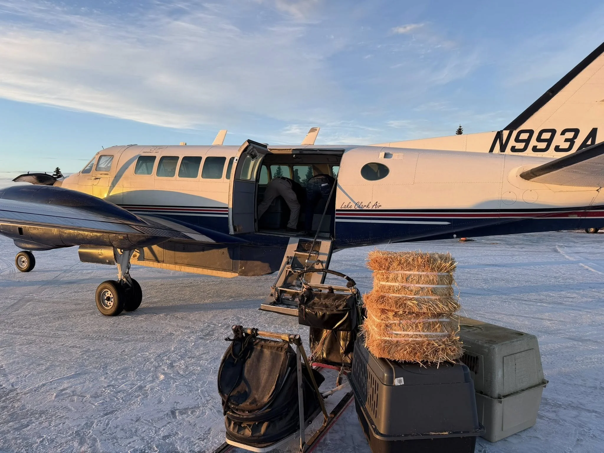 Loading the plane up with the dogs and gear to spend the next month in Willow for dog races. 