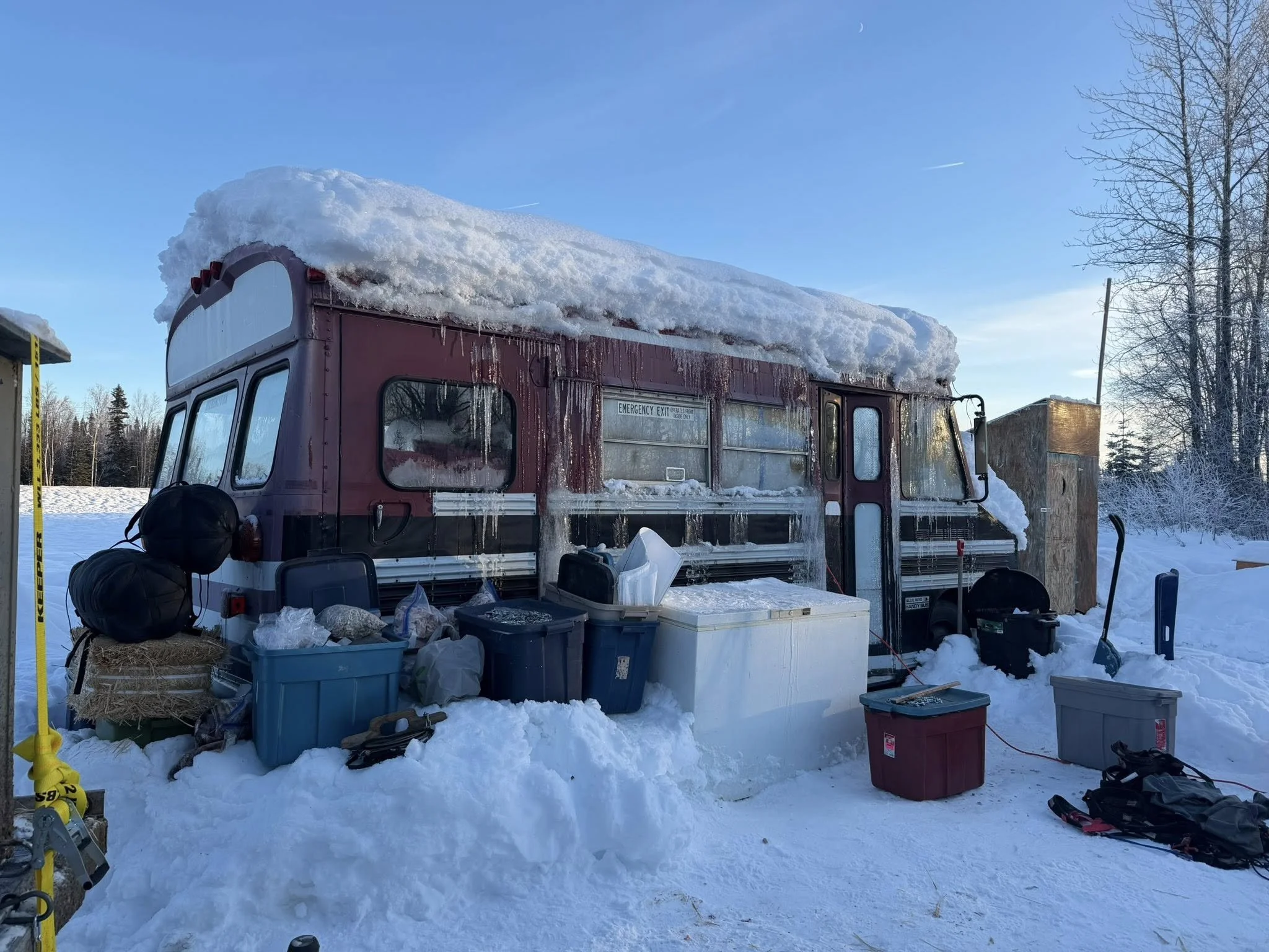 The air bnb we stayed at for the month that we were in Willow. 