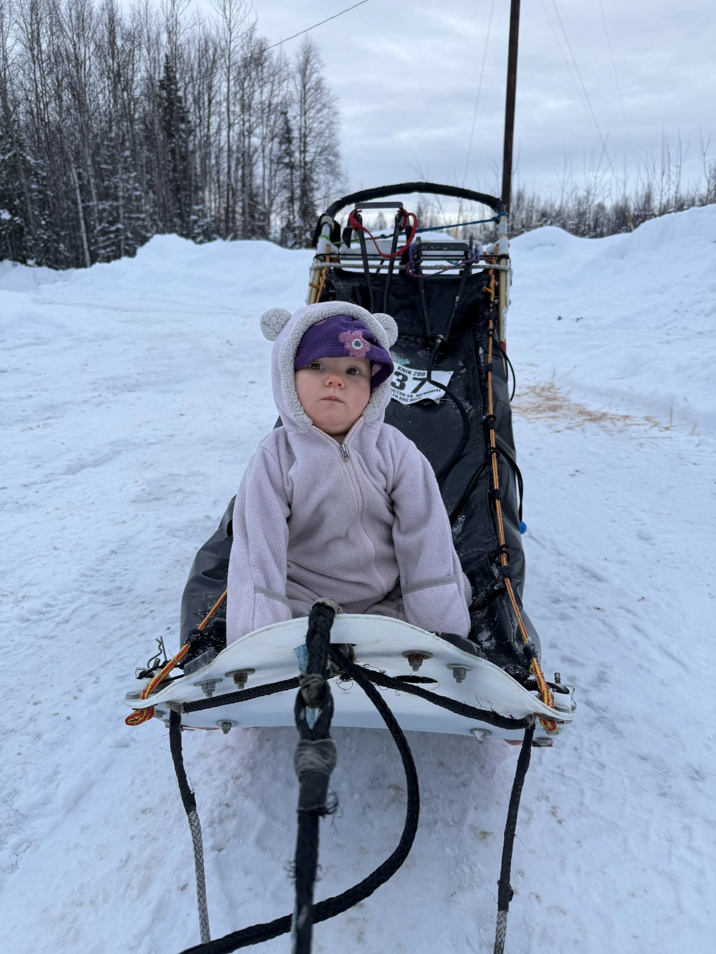 Pulling Lyra around on the dog sled at the air bnb