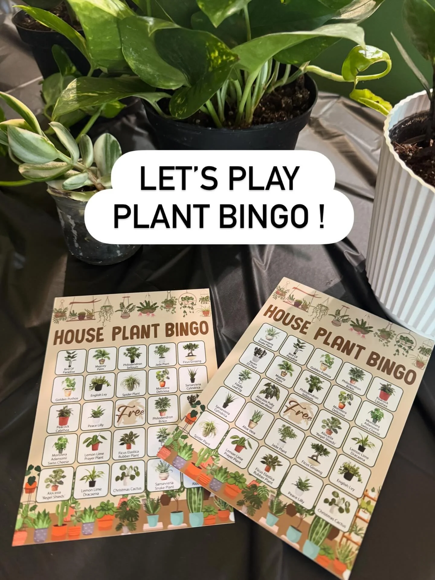 🌿 Looking for something fun to do in San Diego? 🎉
Get your hands busy in the best way with our Plant Bingo &amp; Plant Stake Craft Workshop! 🎨🌱

✨ Play, create, and go home with a new plant baby
✨ DIY your own decorative plant stake
✨ Win prizes 