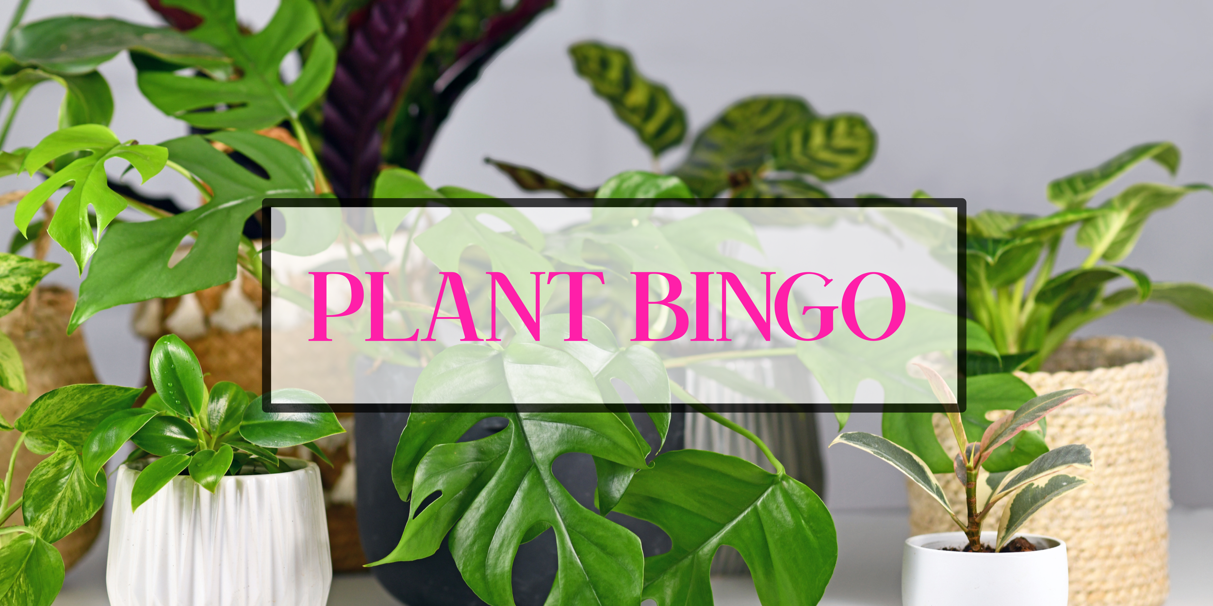 March 14th at 2pm: Plant Stake Craft & Plant Bingo Event