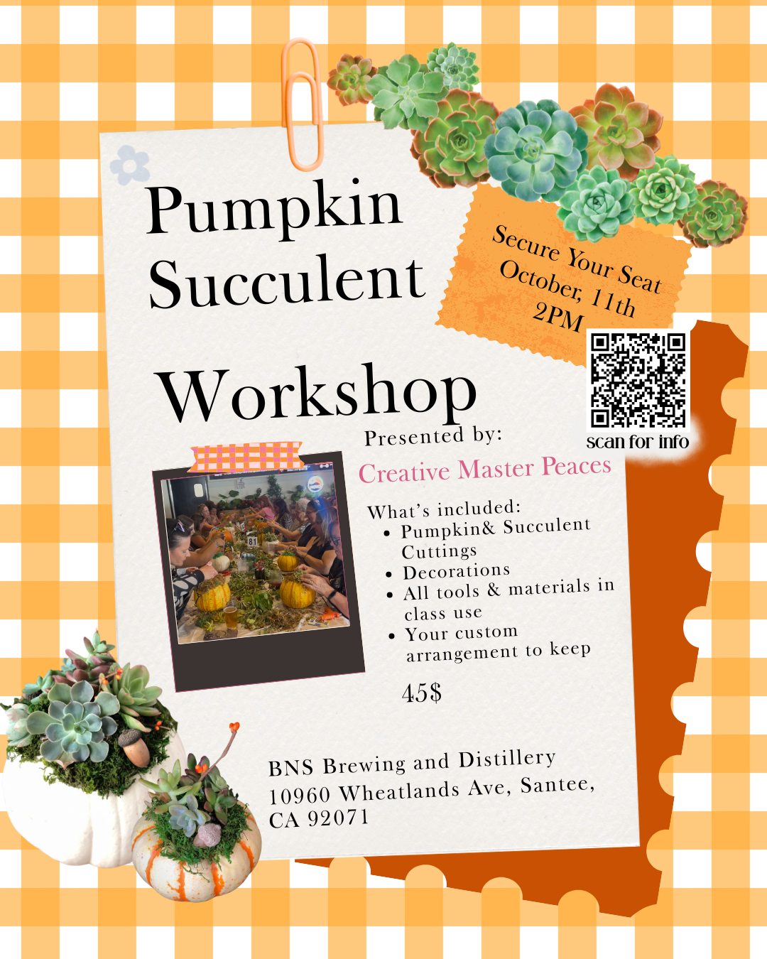 October 11th: Pumpkin Succulent Workshop at BNS in Santee