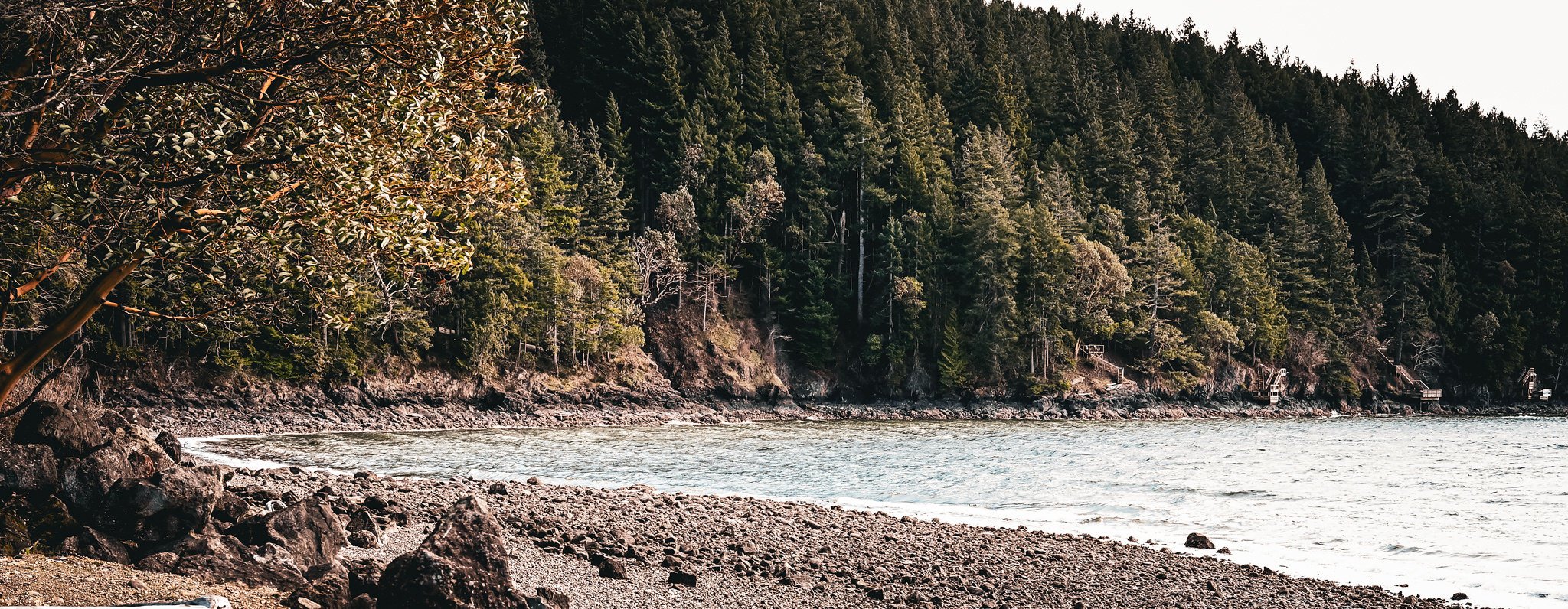 View of a rocky shoreline with a dense forest of evergreen trees along the coast, and stairs leading up into the woods, under an overcast sky.
