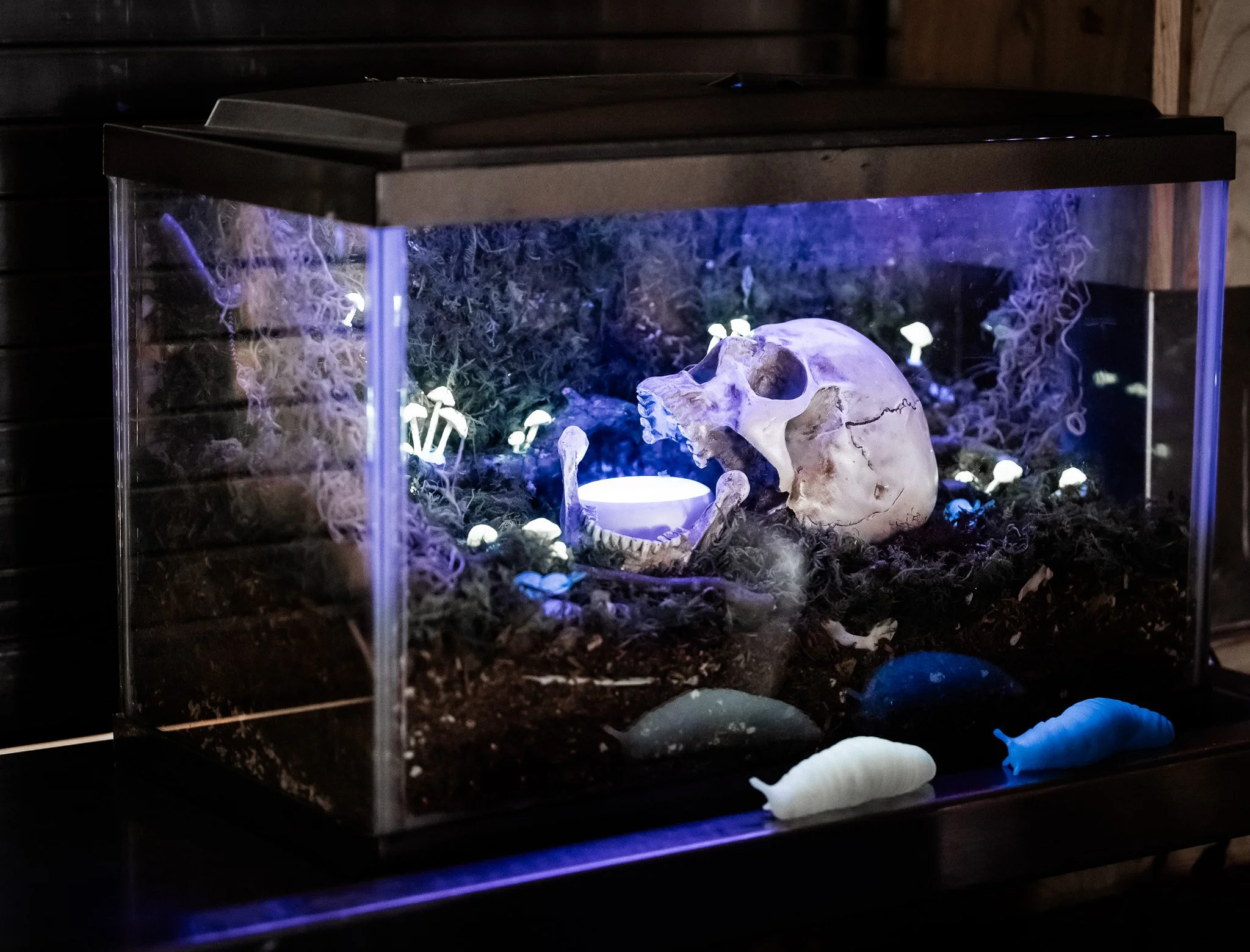 The Emberforge Forgery- May 2025