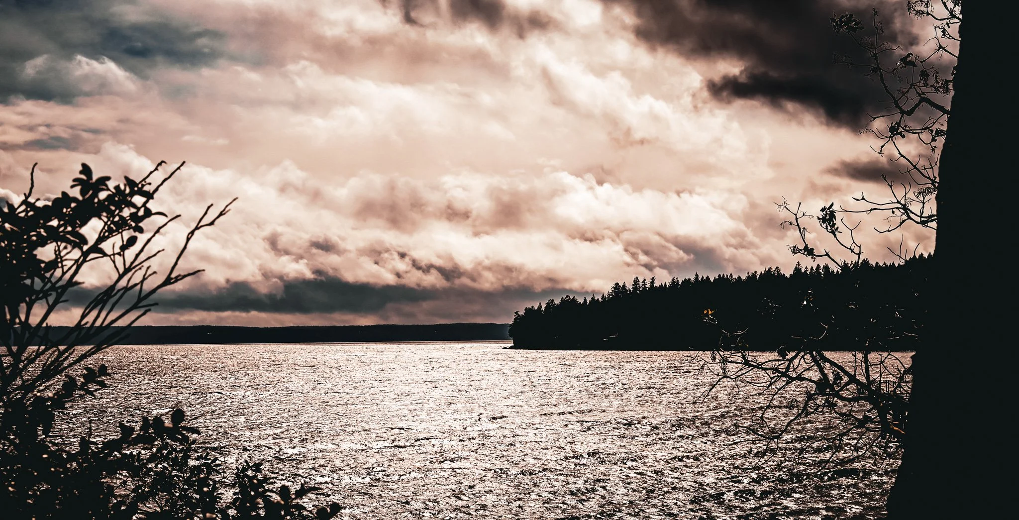 The Emberforge Forgery- March 2025