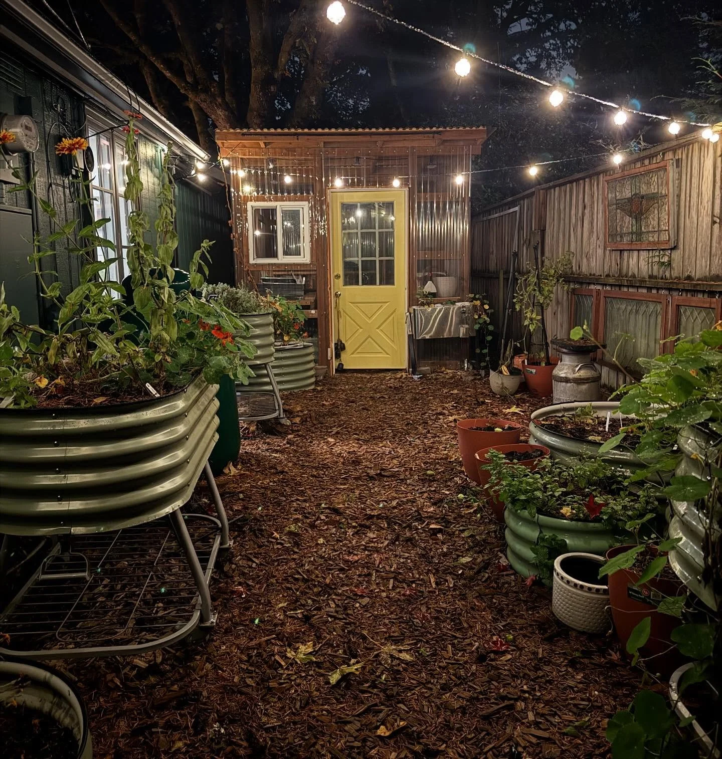 I didn&rsquo;t think the kitchen garden could become any more magical. Then @flash6869 hung the lights!