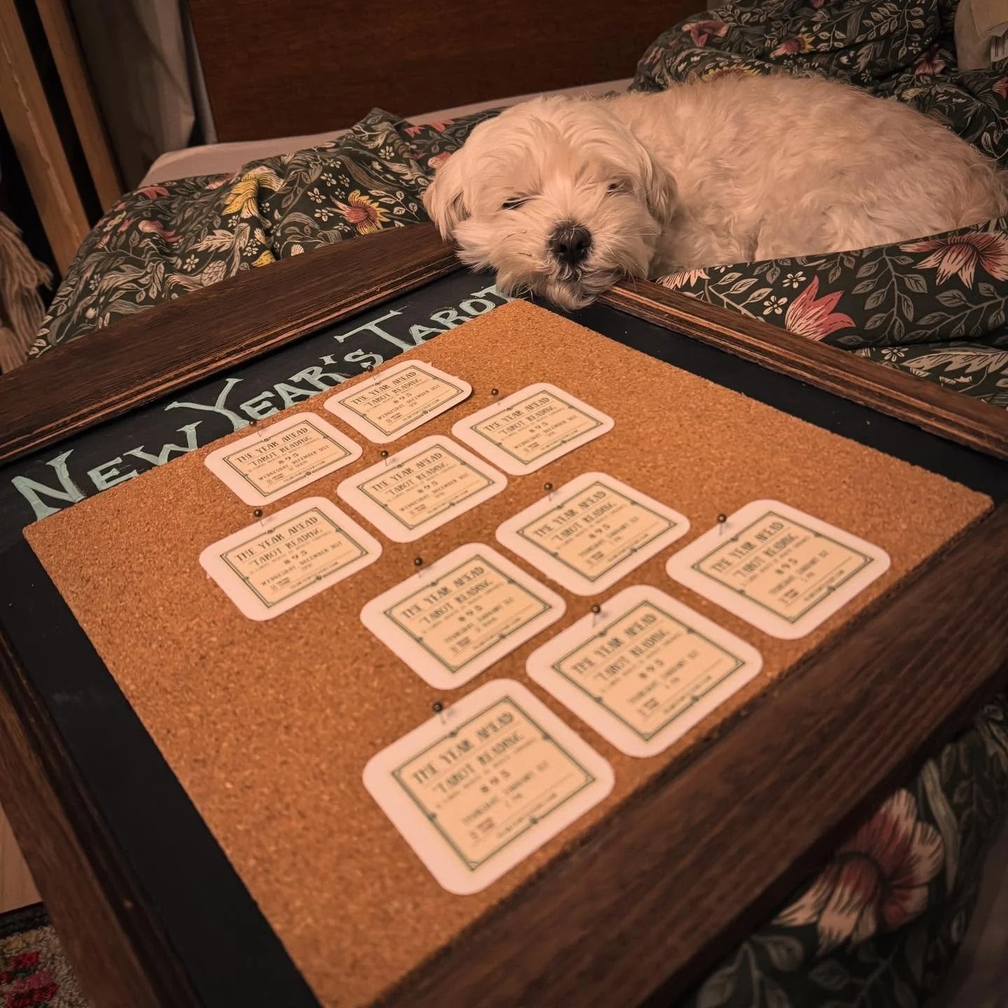 Elliot is &ldquo;helping&rdquo; me set up for VIVA Studio Tour this weekend. He&rsquo;s in charge of the ten slots I have available for New Year&rsquo;s Year Ahead Readings! Available in person or virtually. Message to pre-book, or purchase on the to