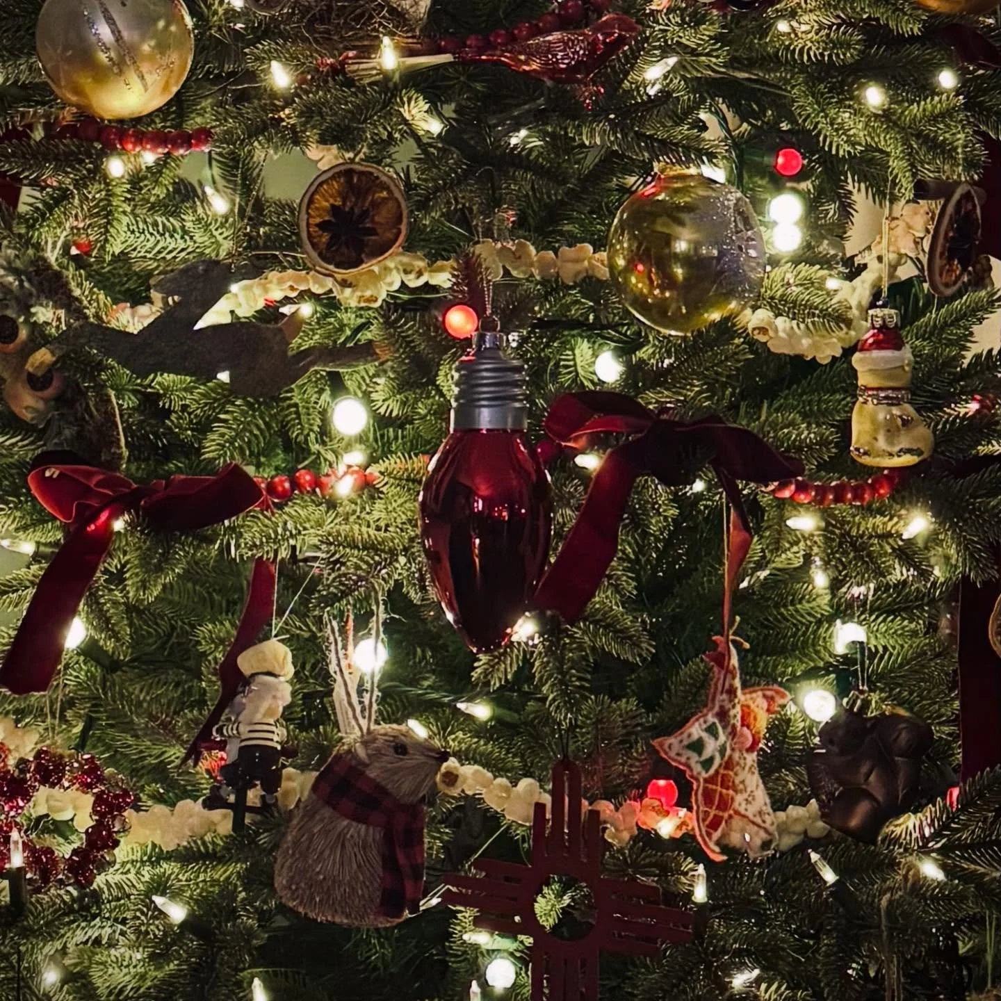 Happy Yuletide, from your chaos gremlin.