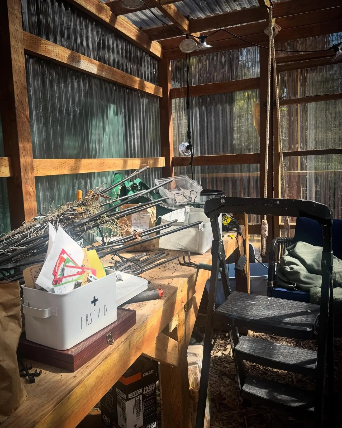 Before and After: 

Petunia fell into chaos overwinter, but now she&rsquo;s ready for spring! Last year I grew a LOT of veggie starts and planted them in the gorgeous garden at @agnesandchloeclothing . The results were an absurd amount of squash, eno