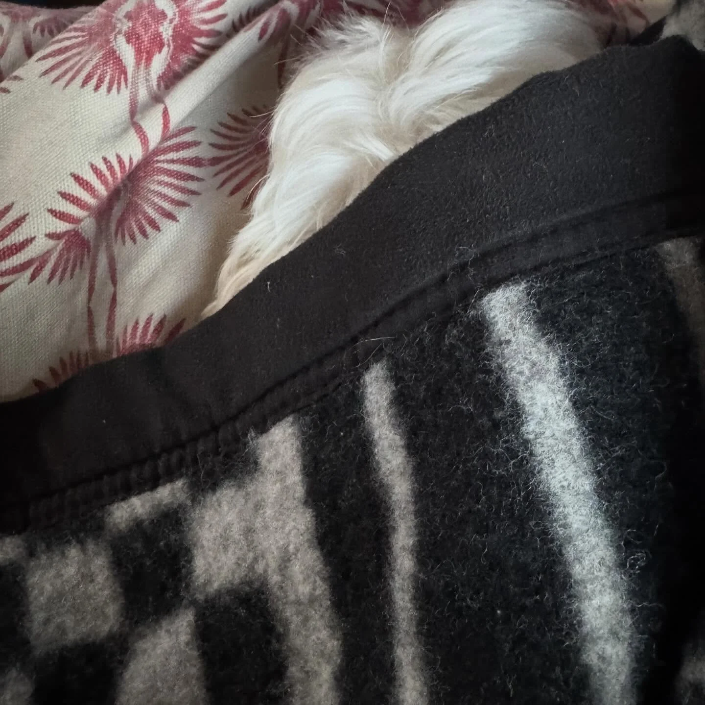 Elliott is tired from &ldquo;helping&rdquo; in the garden. (Aka digging holes to sun-nap in.)