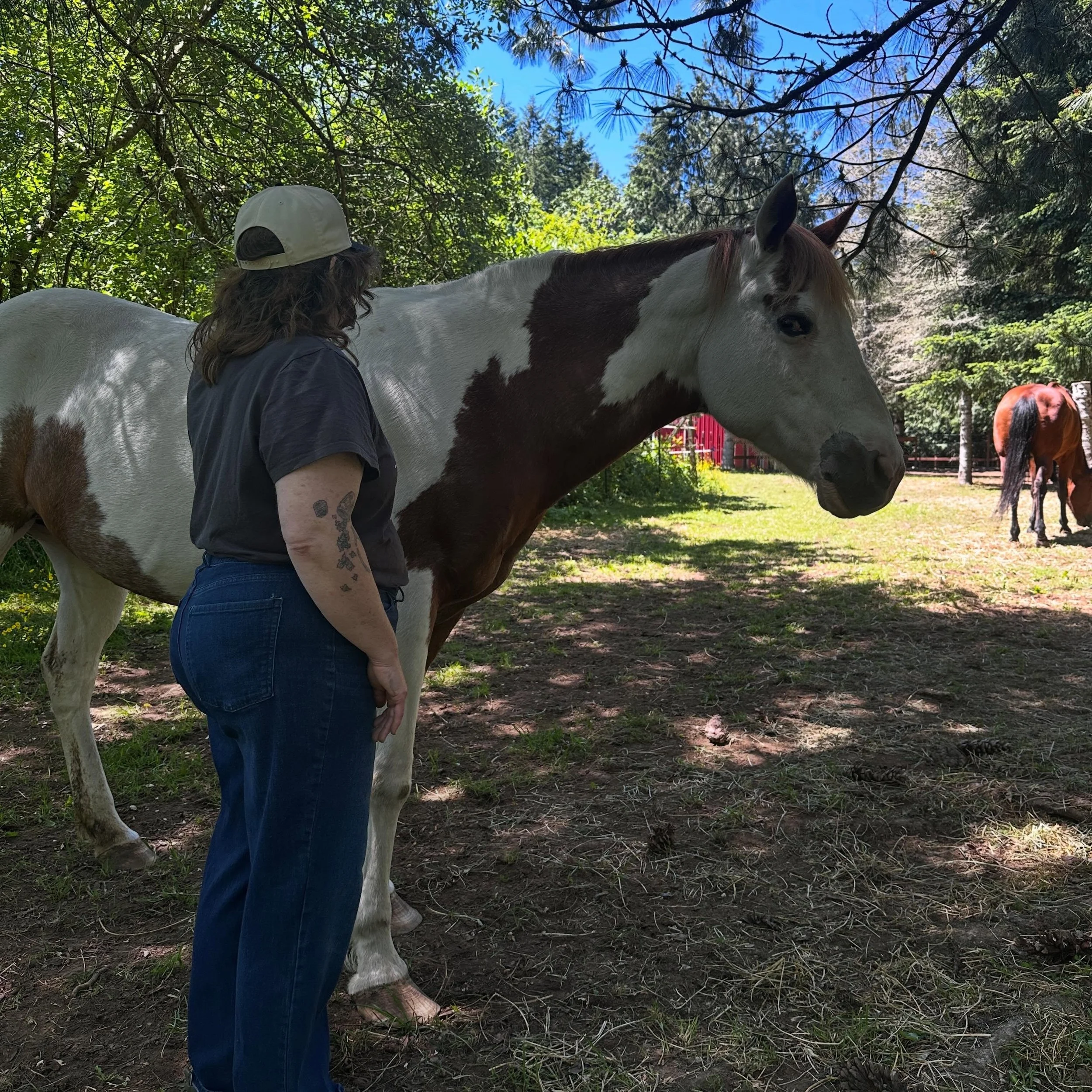 One day a psychic will see a red flower and tell you to seek out the guidance of a white horse with brown speckles. It&rsquo;s very important that you call the ONE person you know, who knows a person with horses,  so you learn from her mare, Poppy. ?