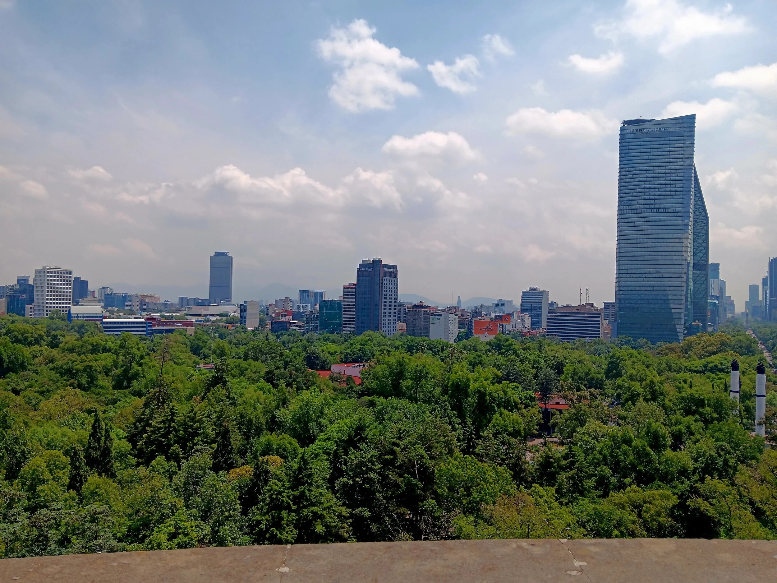 20240730_114212.jpg