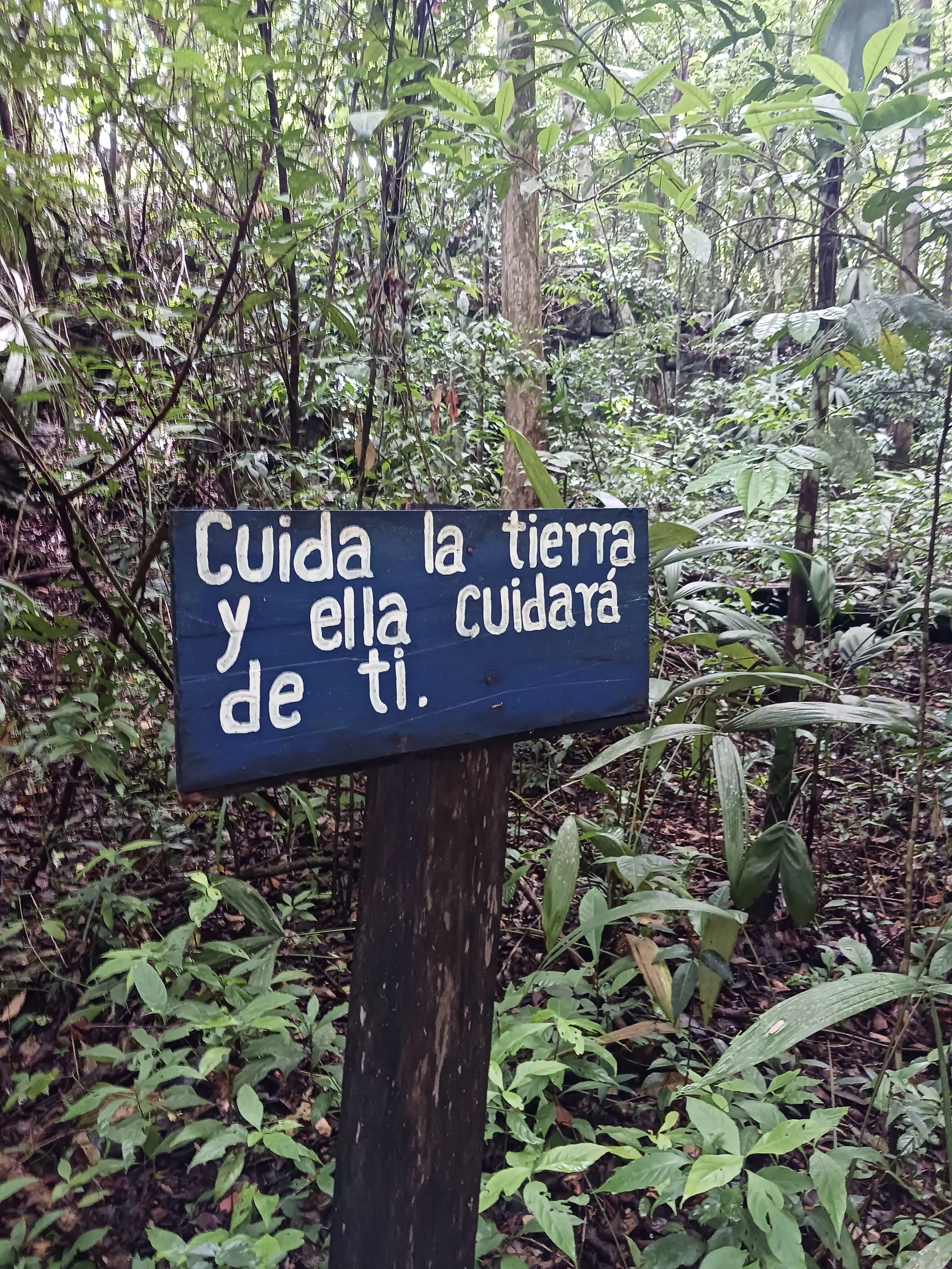 20220712_104110.jpg