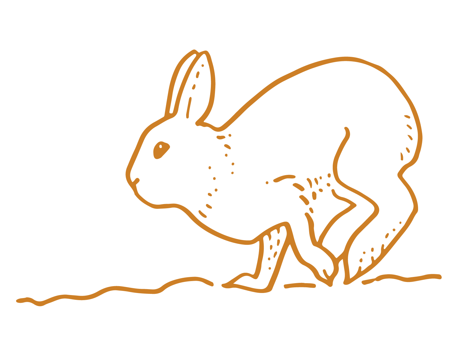 Outline drawing of a rabbit in brown, facing to the left, on a black background.