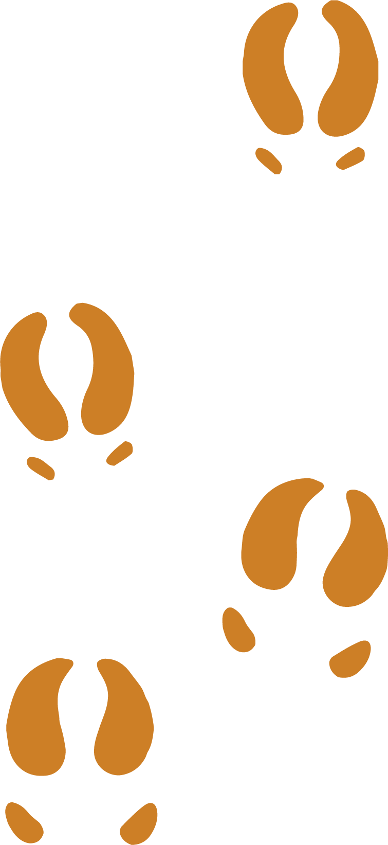 Vertical pattern of coffee beans on a black background.