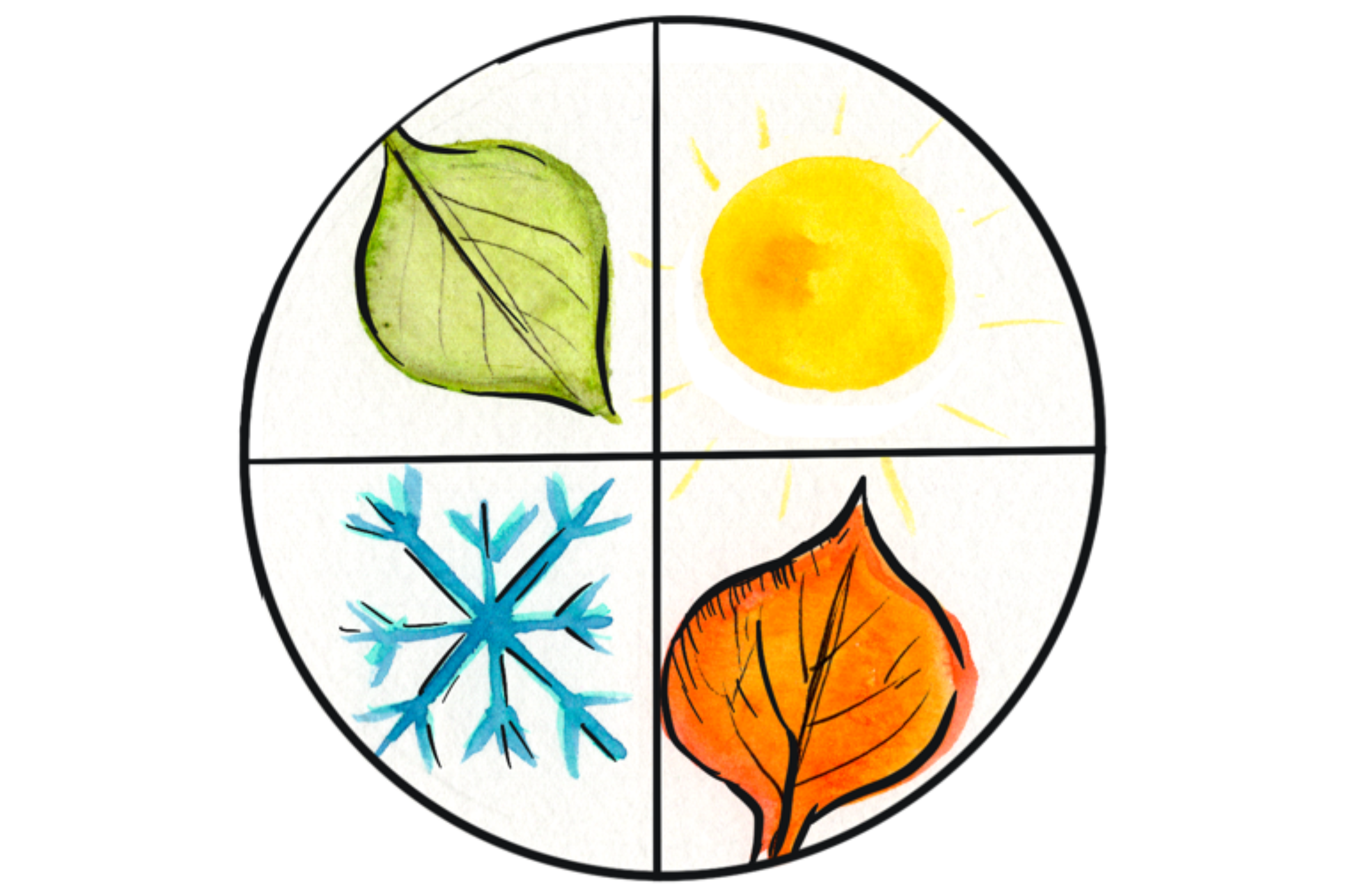 A watercolor circle divided into four sections: a green leaf in the top left, a yellow sun in the top right, a blue snowflake in the bottom left, and an orange autumn leaf in the bottom right.