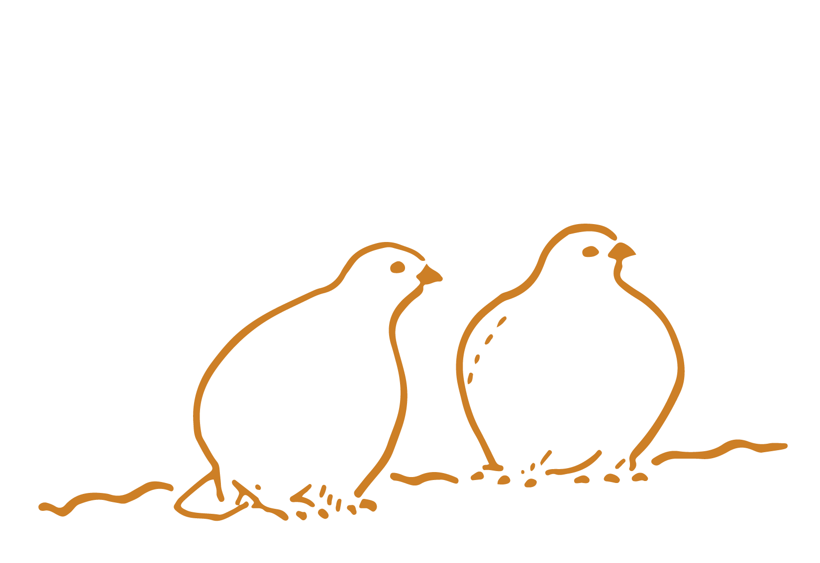 Line drawing of two small birds, facing each other, perched on the ground, sketched in brown lines on a black background.