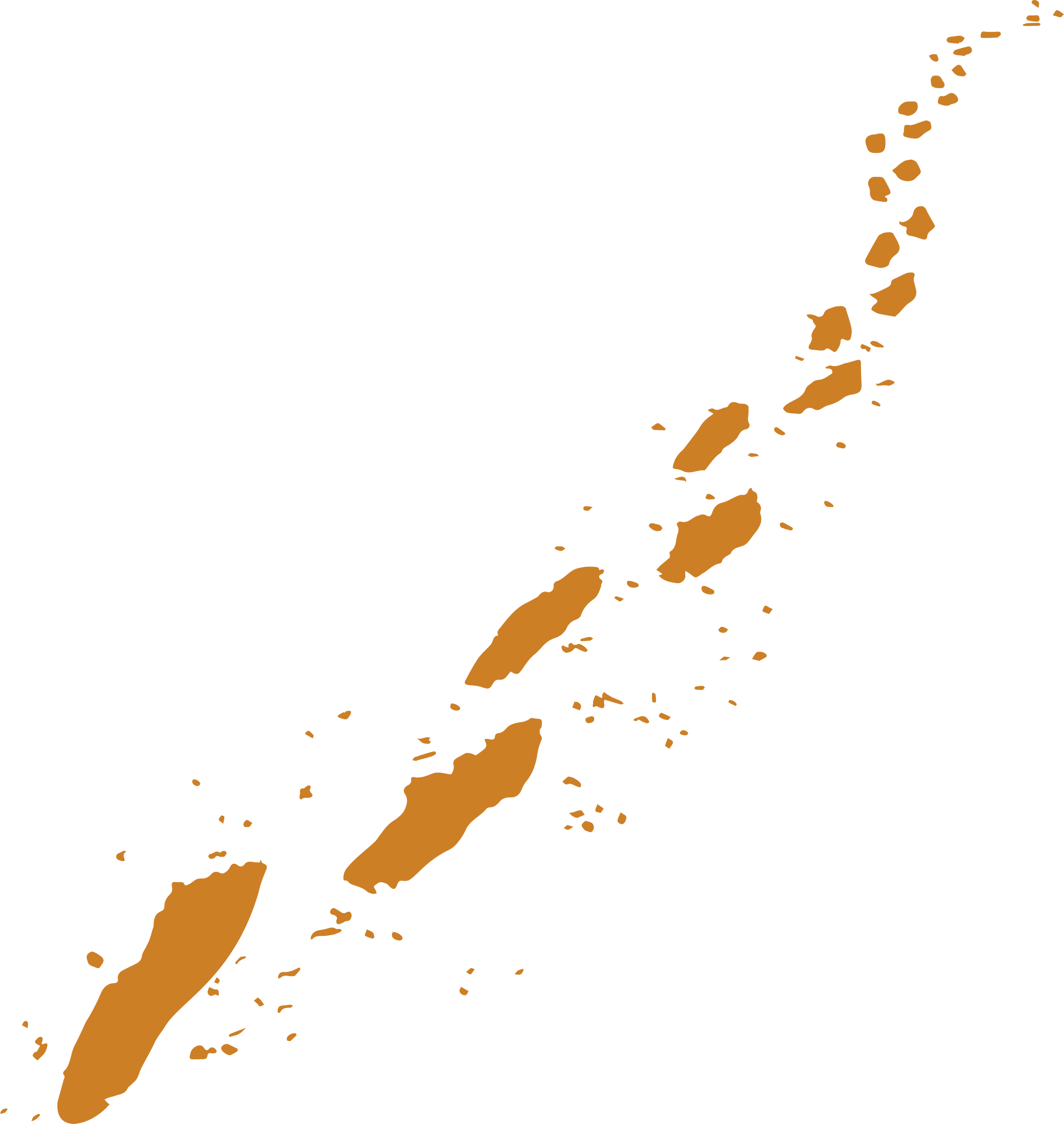 Planet Mars with brown surface markings and a black background.