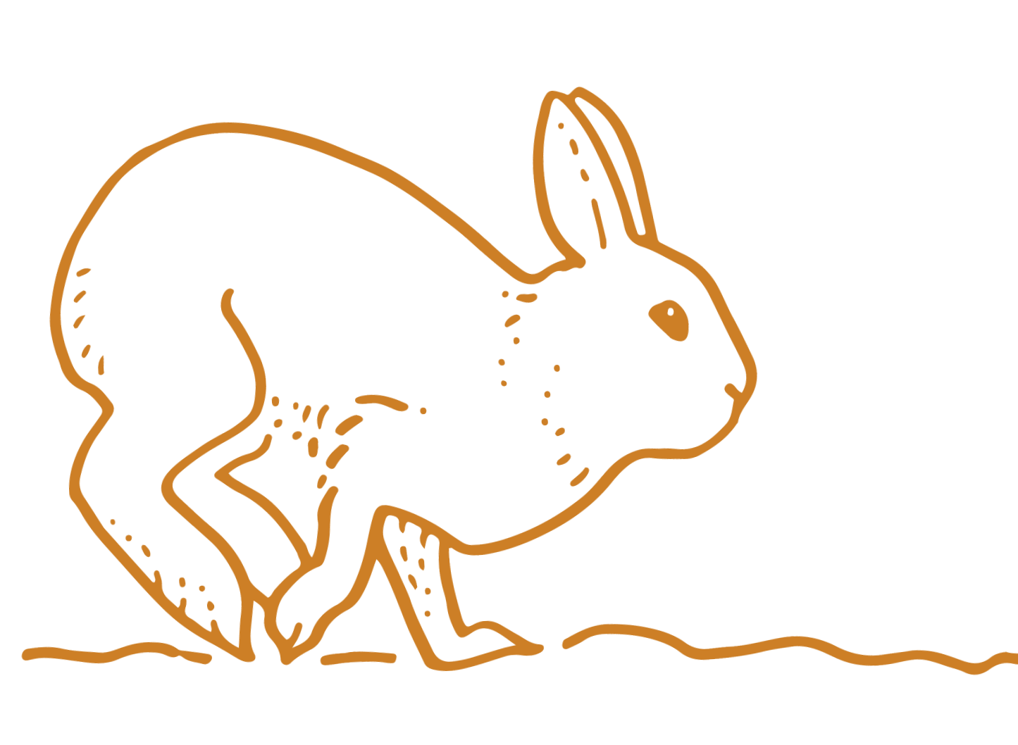 Line art illustration of a rabbit facing right, with a simple outline in brown on a black background.