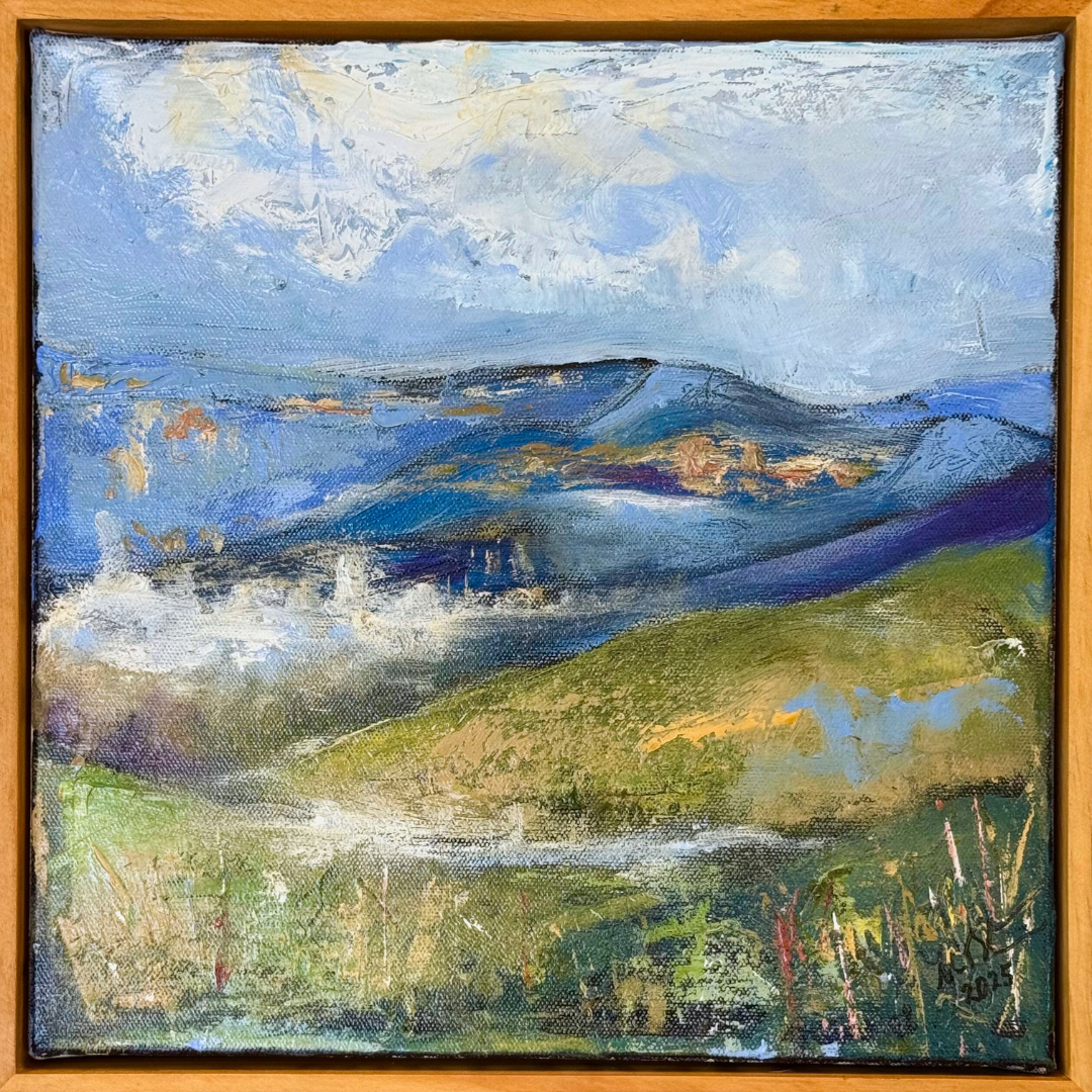 'Morning Mist - Tumut' by Adam Bernthaler