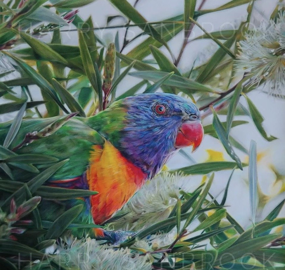 Colorful bird with a red beak and vibrant plumage surrounded by green foliage.