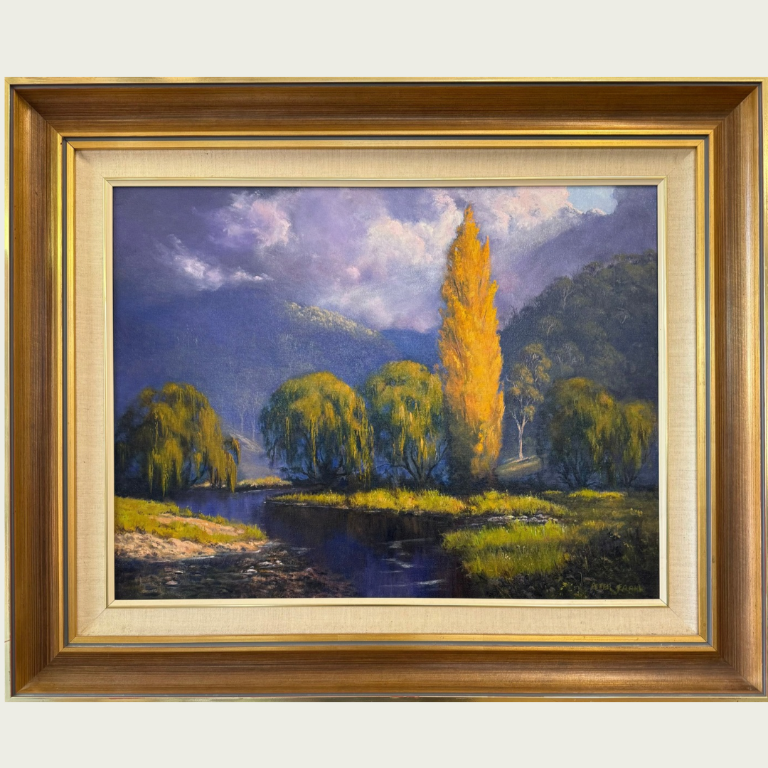 'Near Wondalga' by Peter E Frank