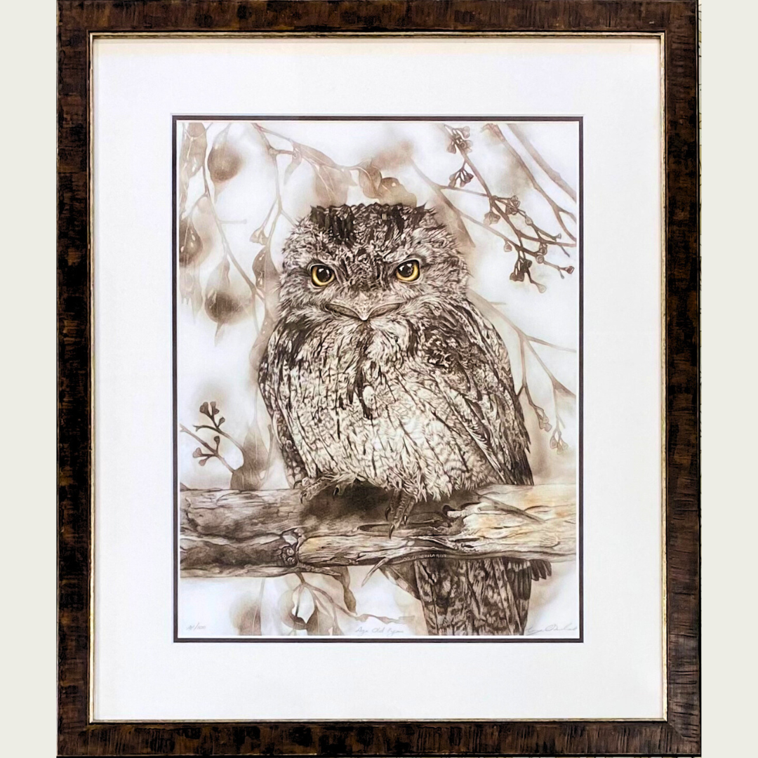 'Age Old Eyes' by Maegan Oberhardt