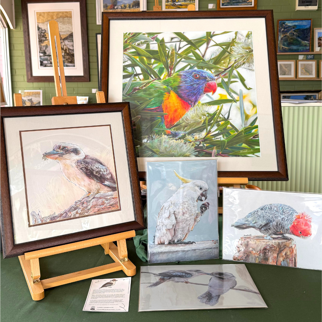 Group of framed bird artwork on display, featuring realistic illustrations of various birds including a rainbow lorikeet, a cockatoo, and a parakeet, set on a table with a green tablecloth in an art gallery.