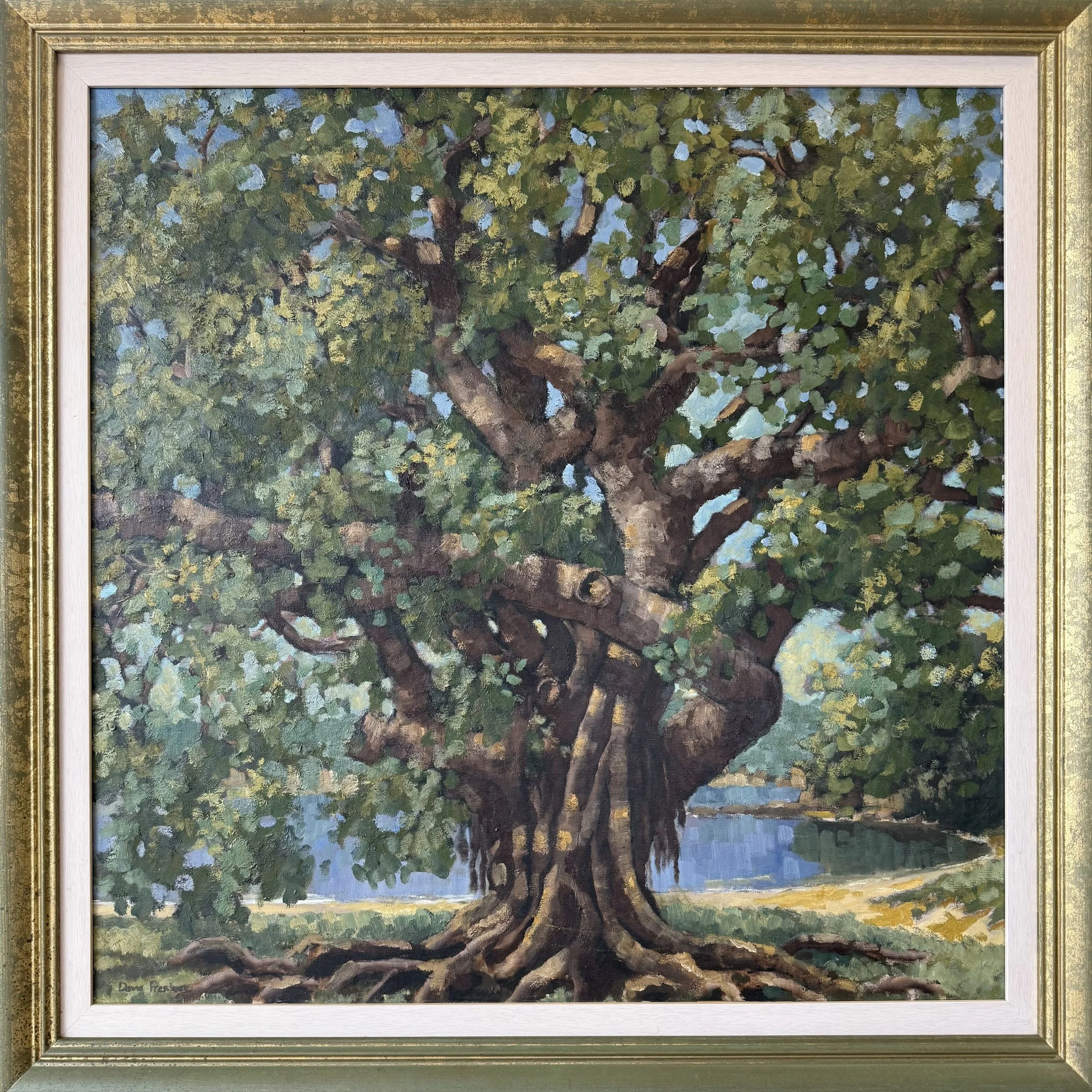 'Balmoral Fig' by David Preston